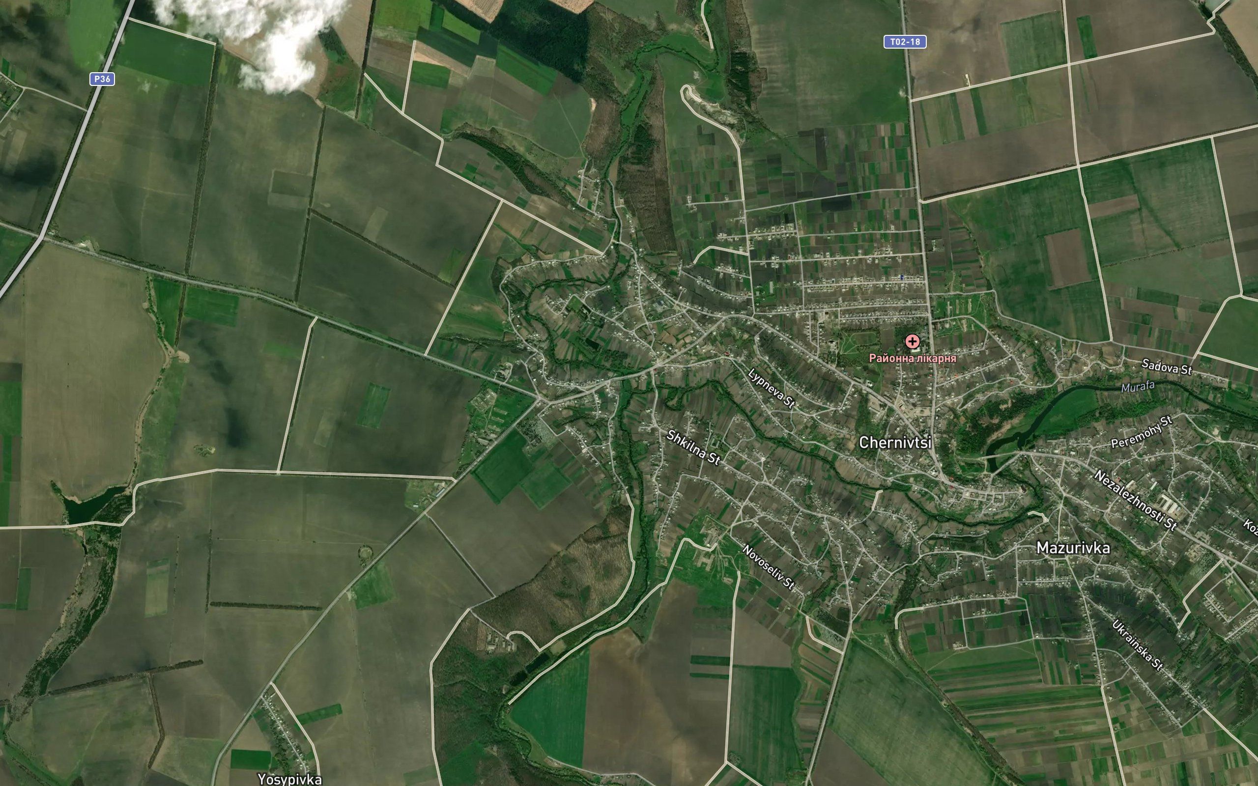 Murashka