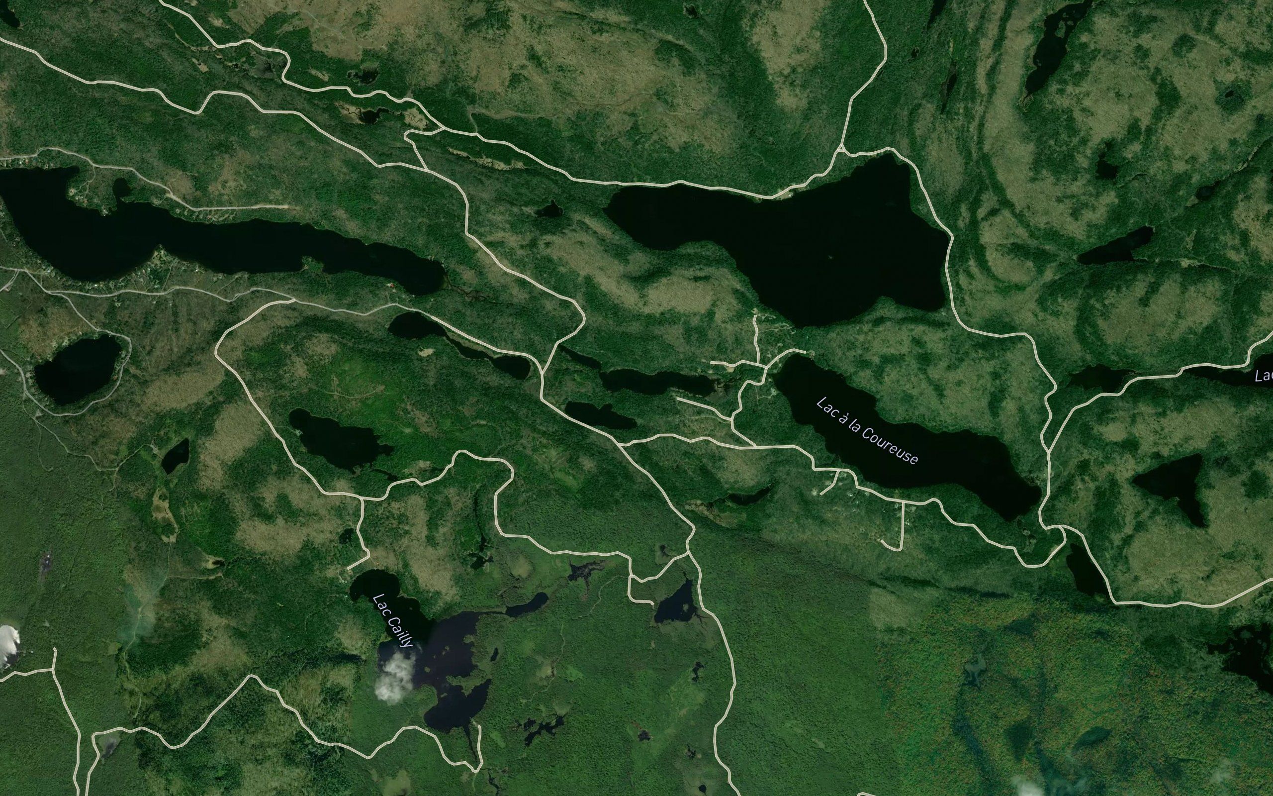 Lac a la Vase