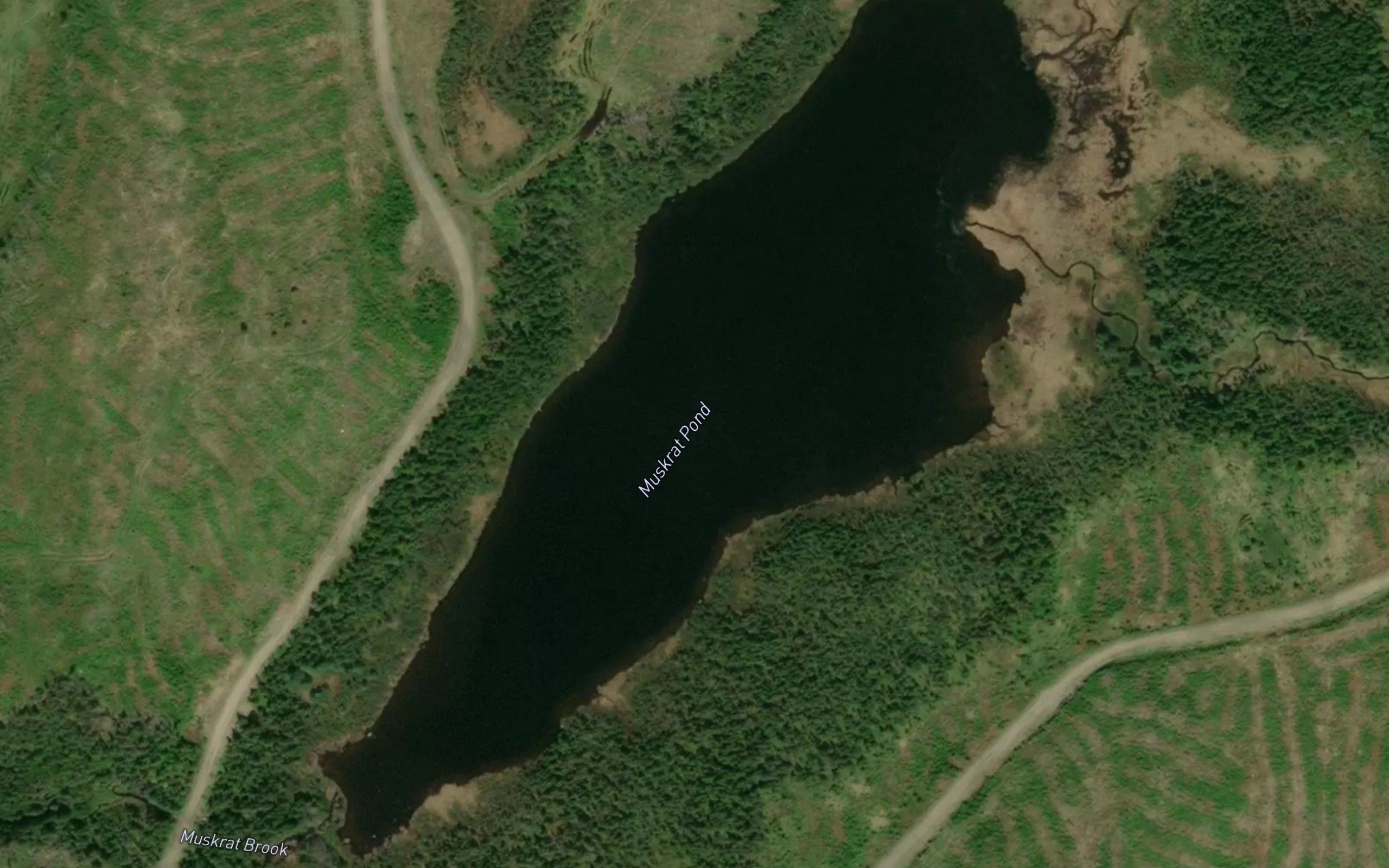 Muskrat Pond
