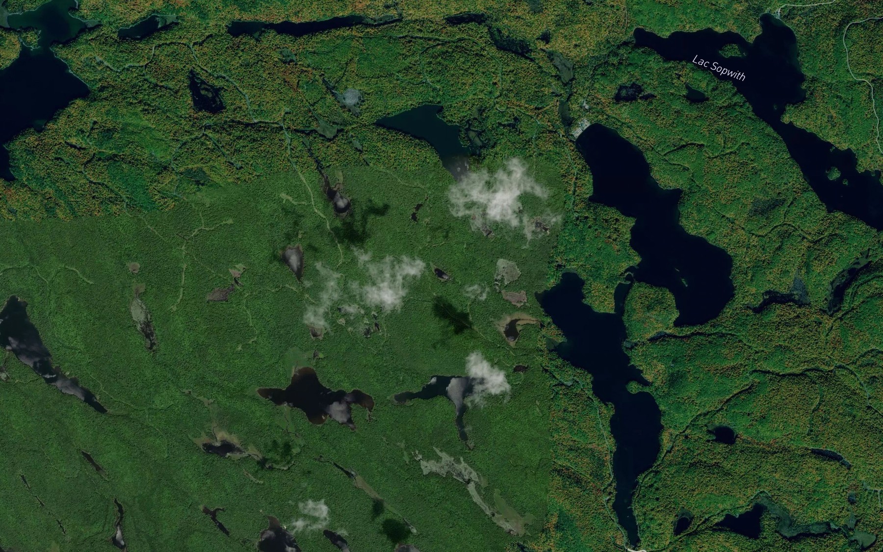 Satellite map of the Petit lac des Pins