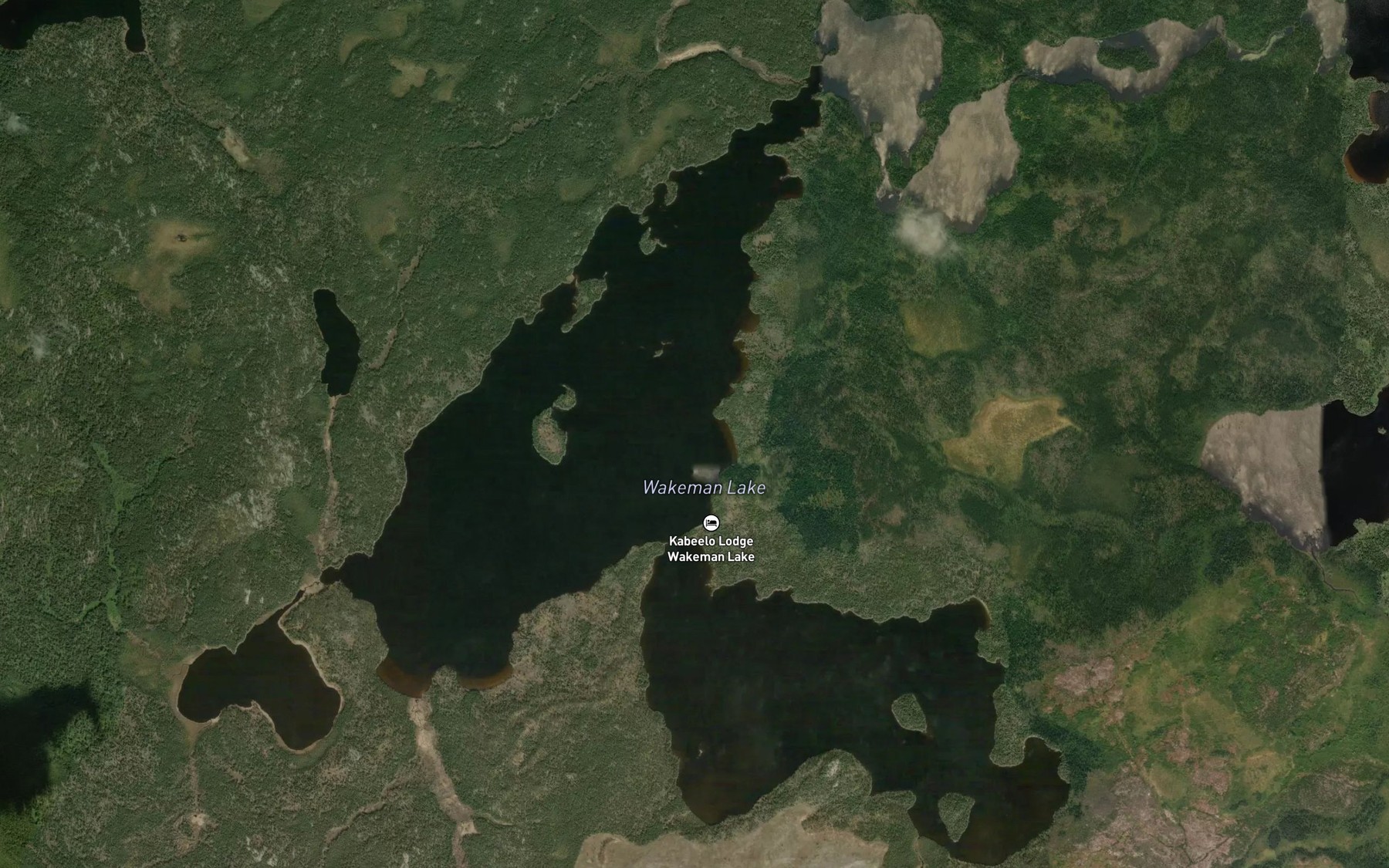 Satellite map of the Wakeman Lake