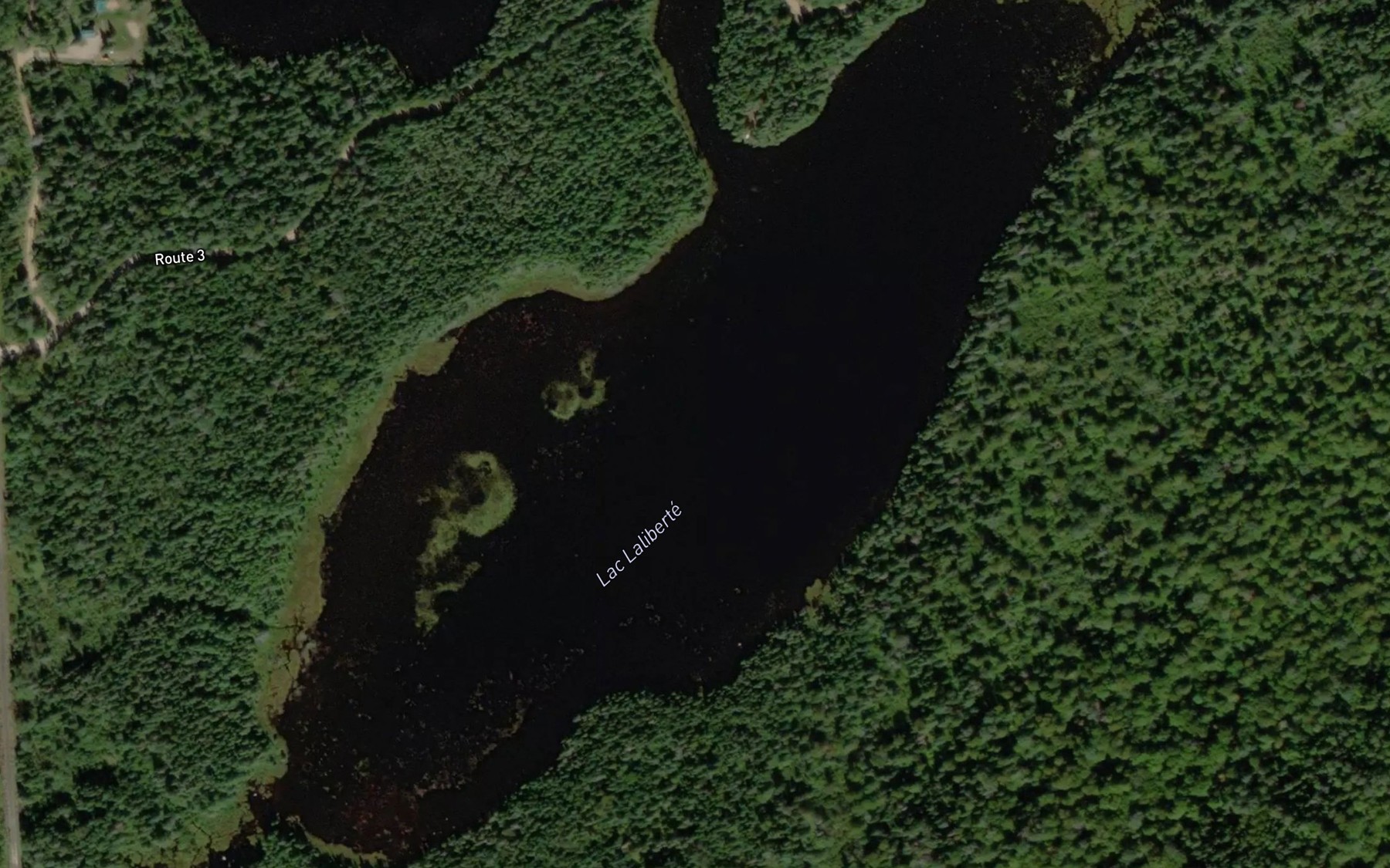 Satellite map of the Lac Laliberte