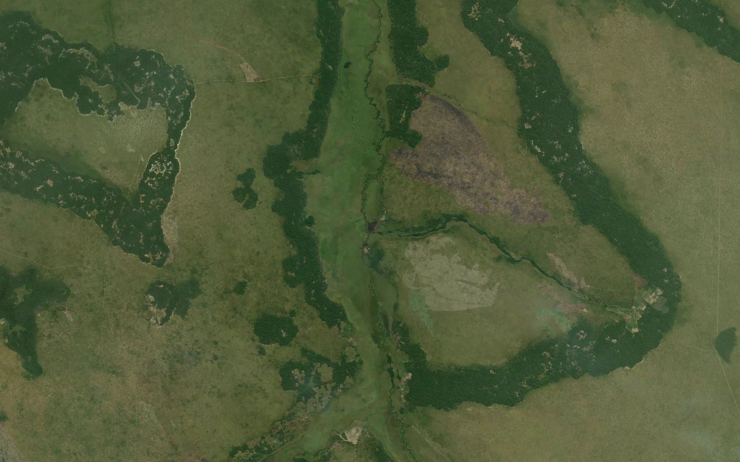Camutongola
