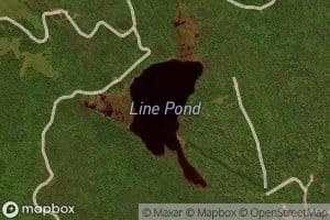 Line Pond