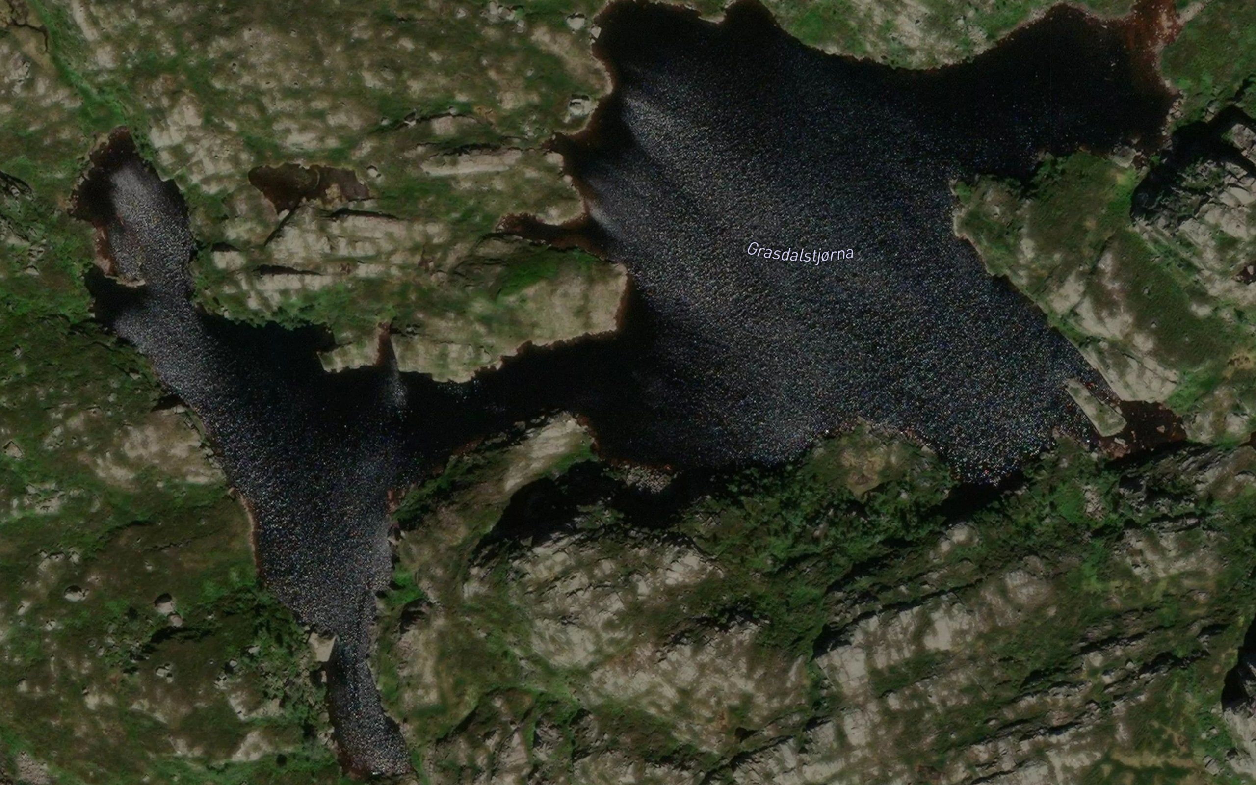 Grasdalstjorni
