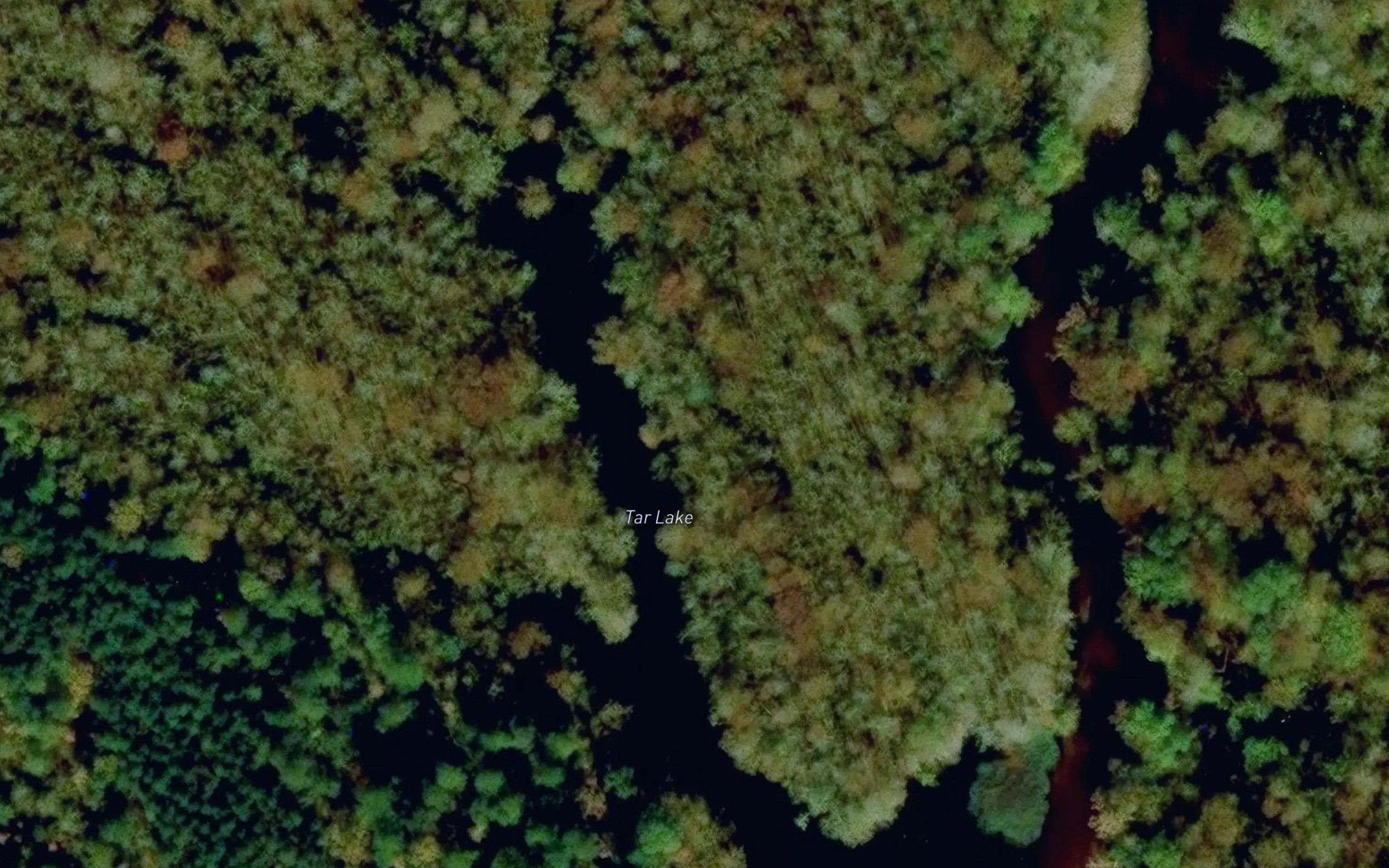 Tar Lake
