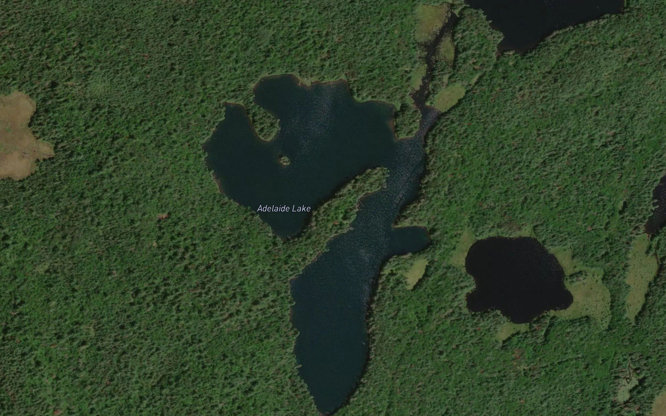 Adelaide Lake