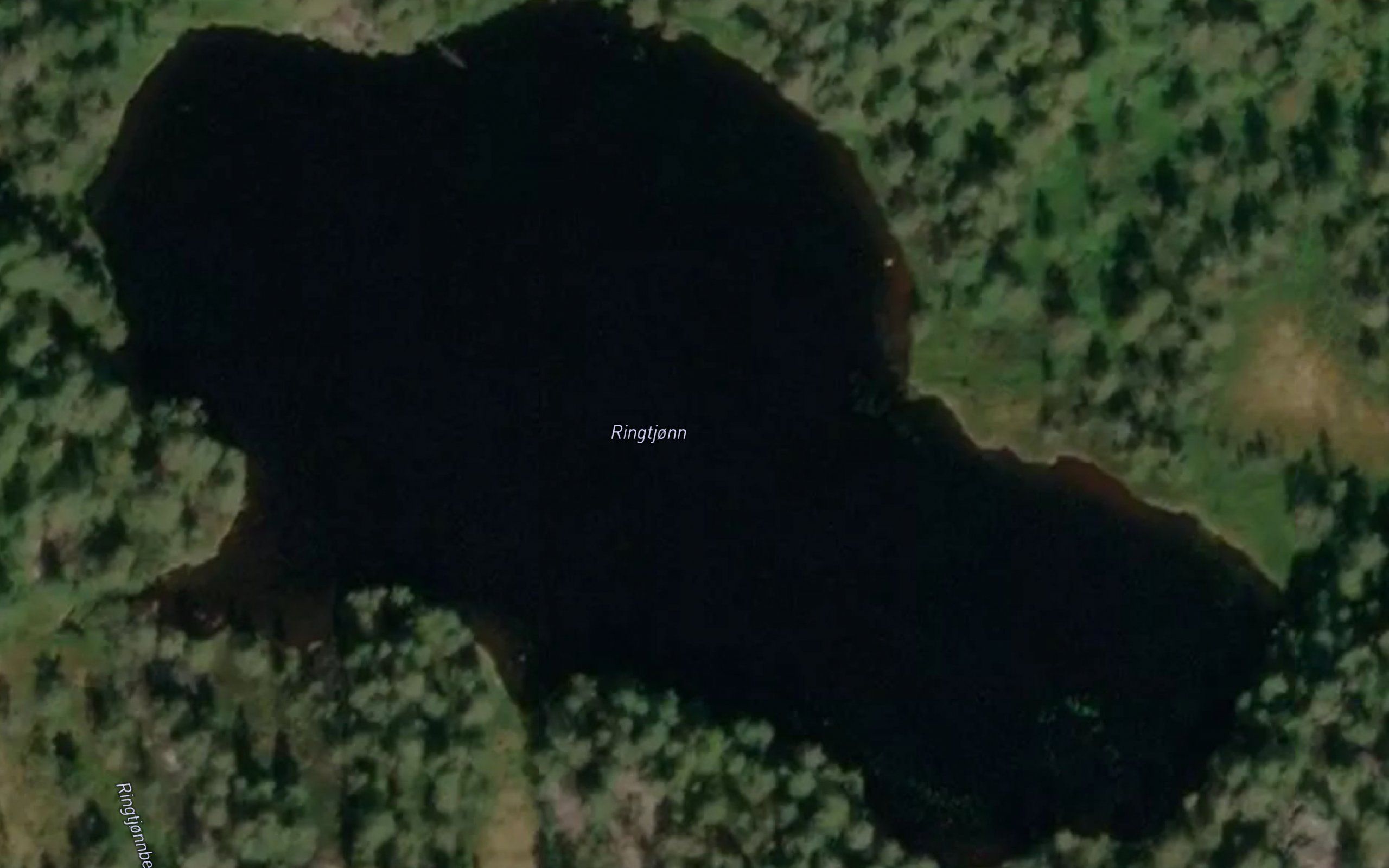 Ringtjorn