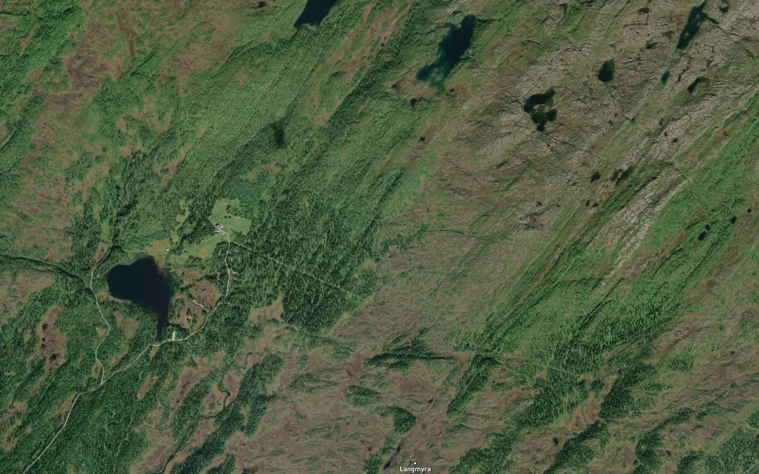 Fjellbekken