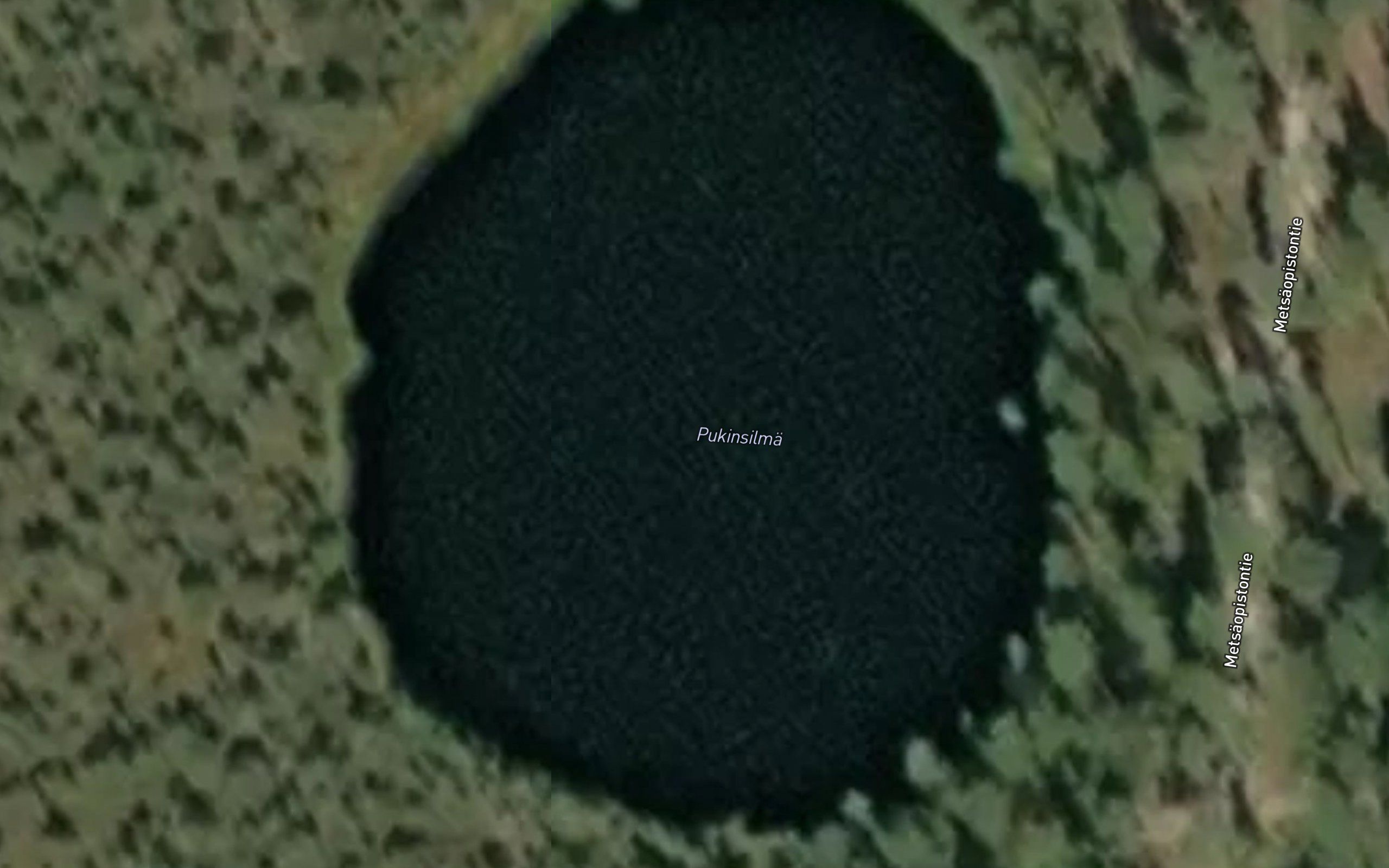 Pukinsilma