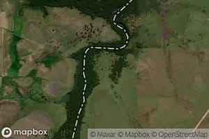 Arroyo Sauce de Villanueva