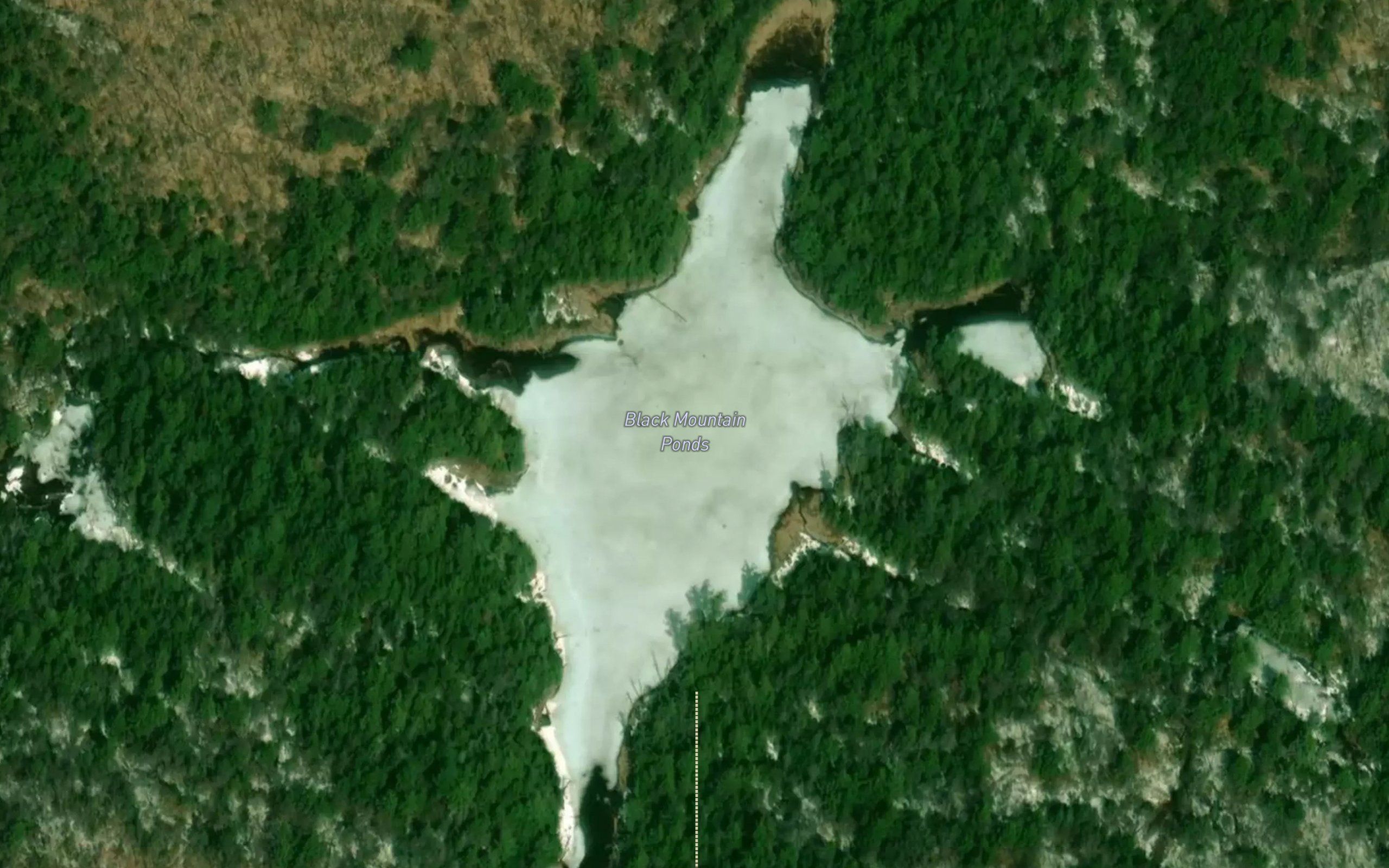 Black Mountain Ponds