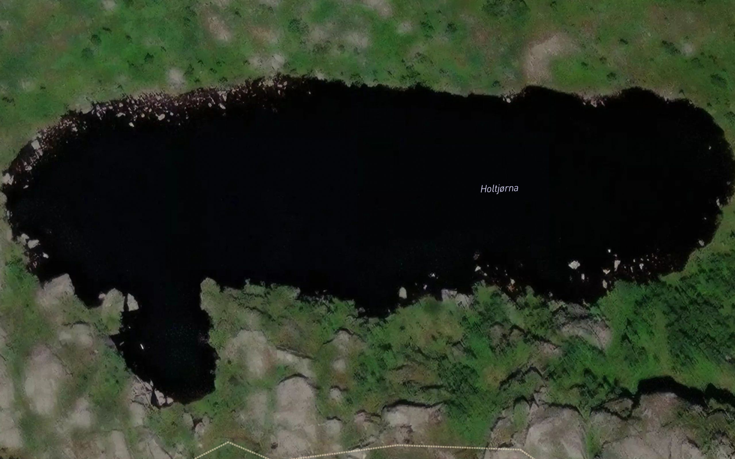 Holtjorna