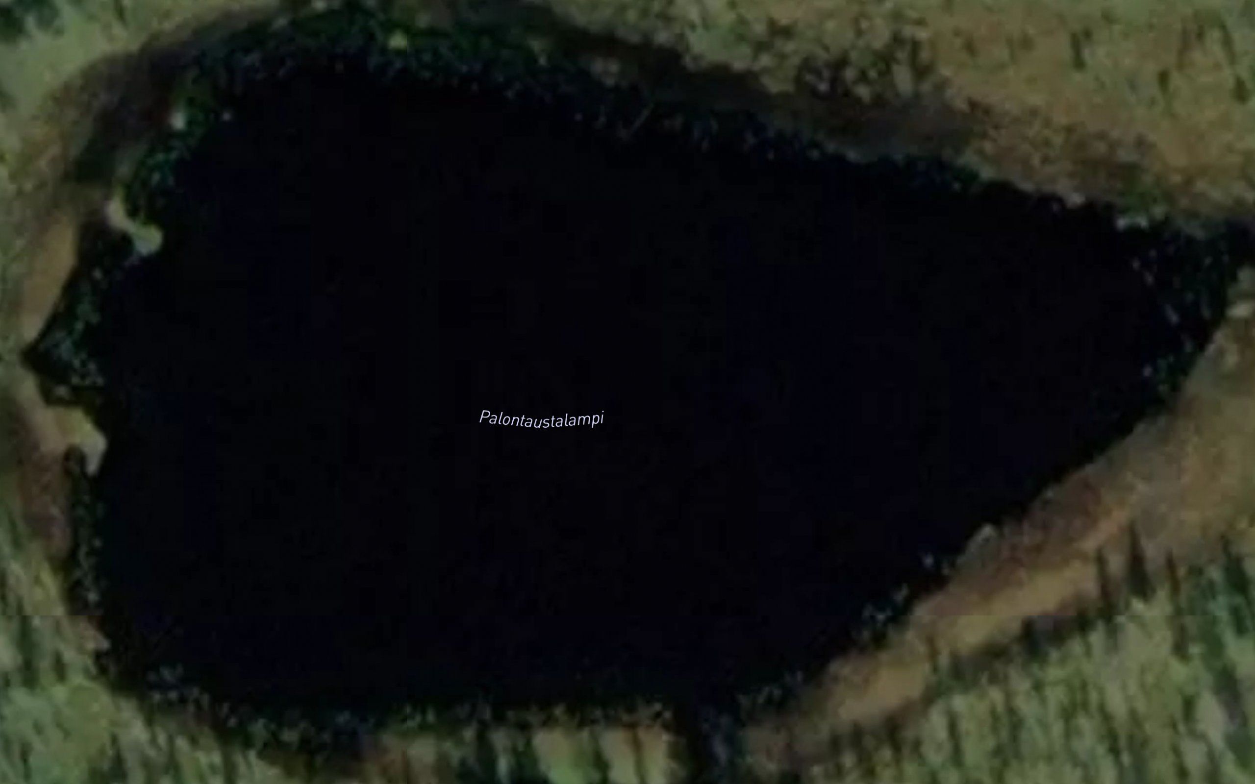 Palontaustalampi