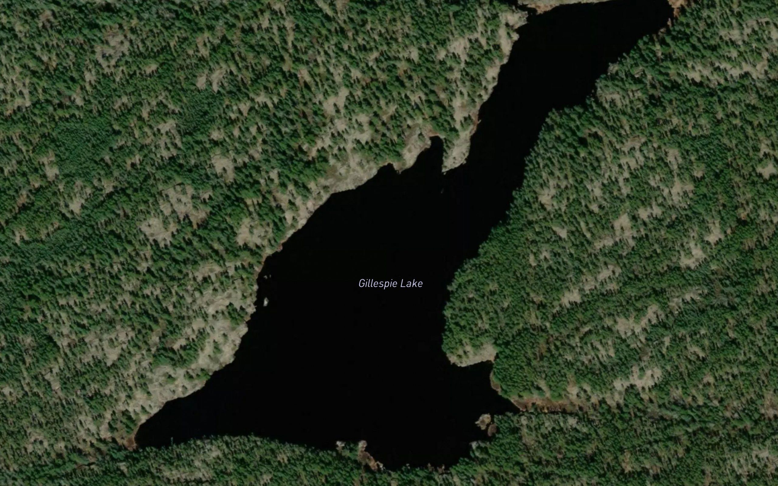 Gillespie Lake