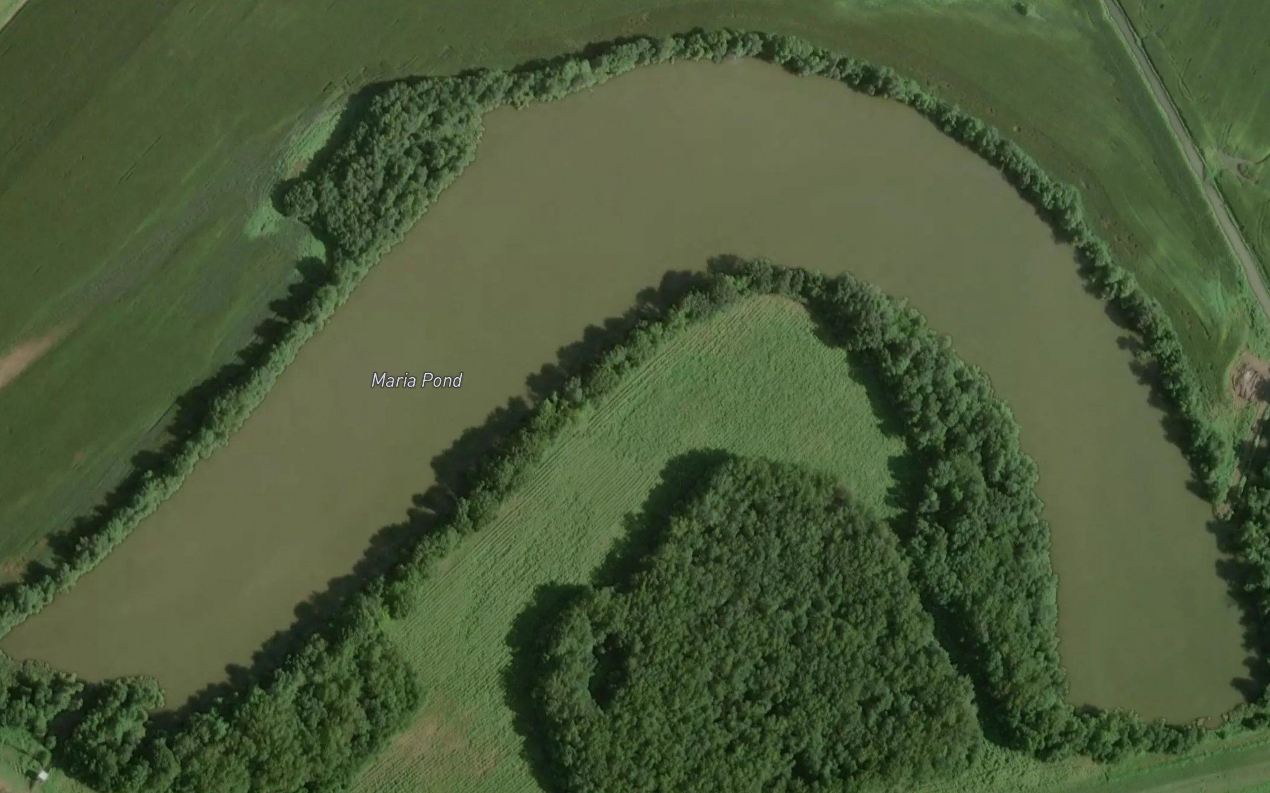 Maria Pond
