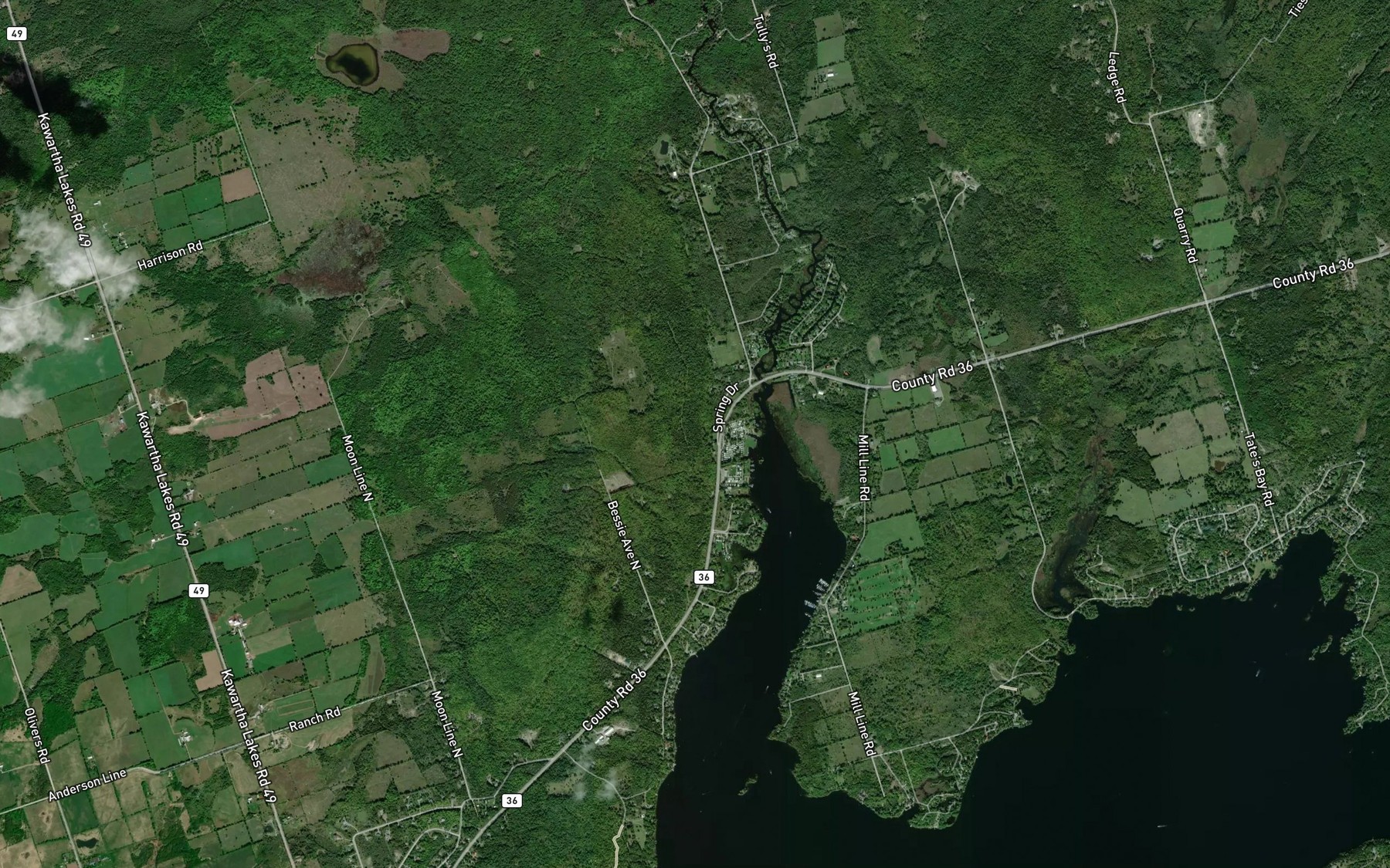 Satellite map of the Nogies Creek