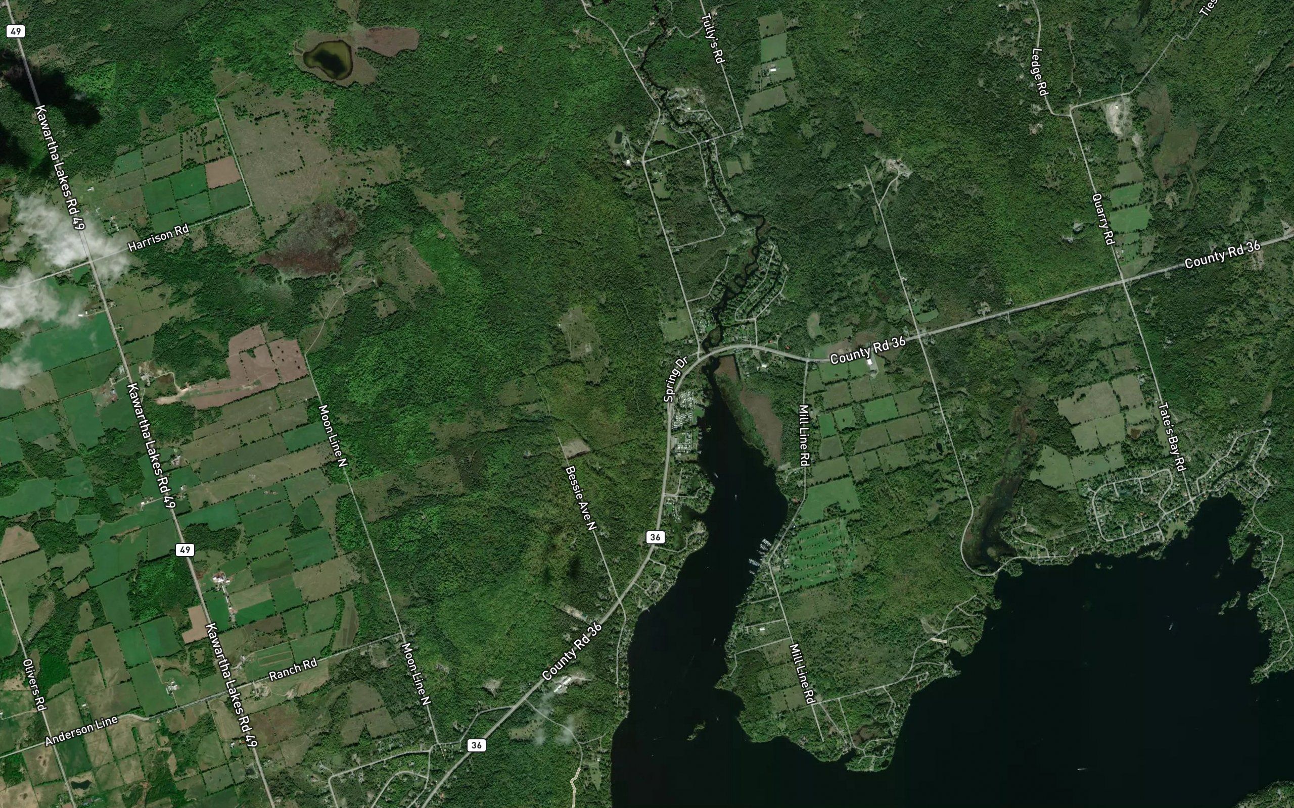 Nogies Creek