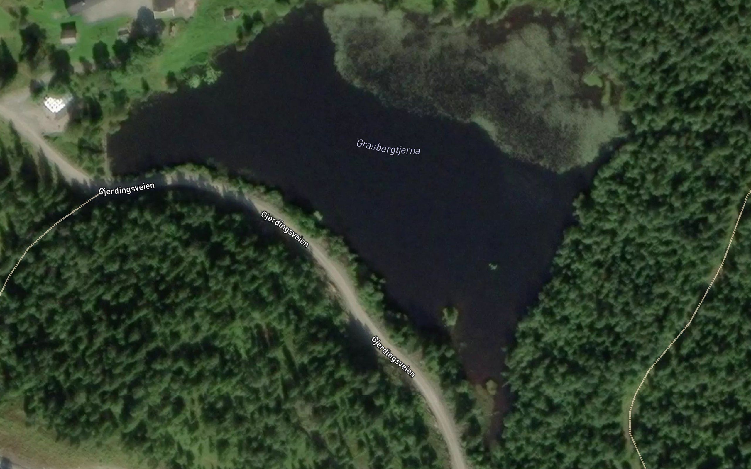 Grasbergtjerna