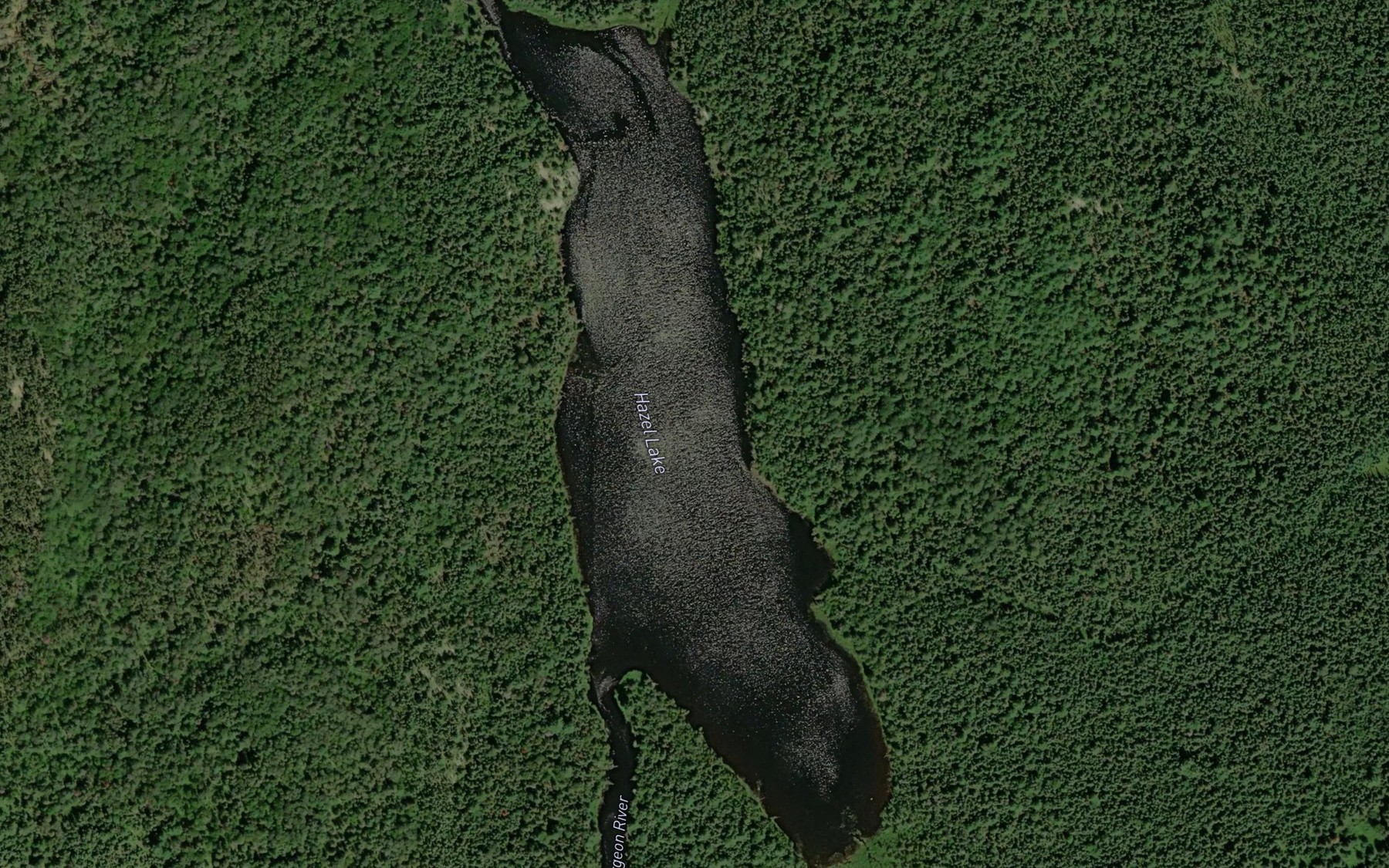 Satellite map of the Hazel Lake