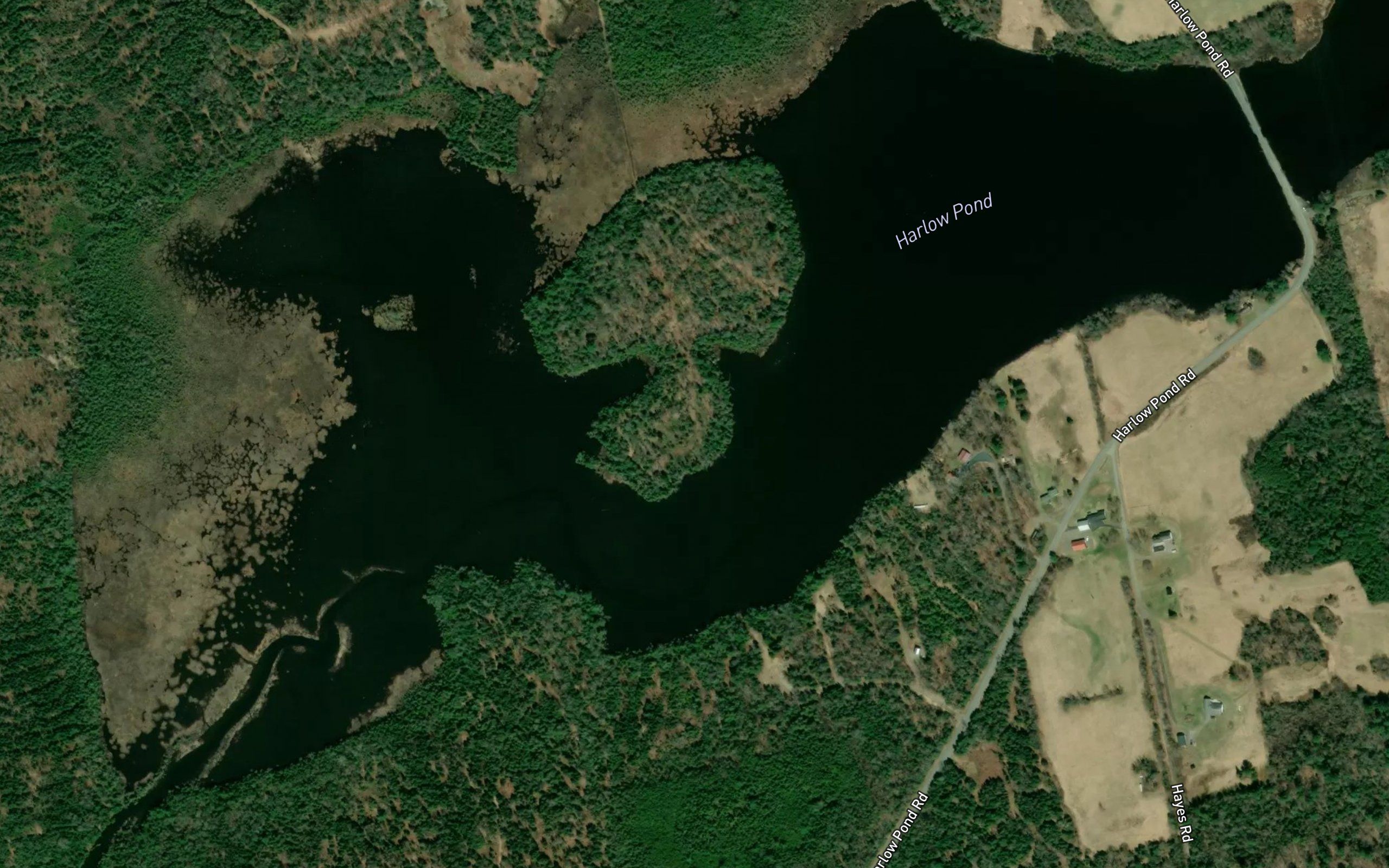 Harlow Pond