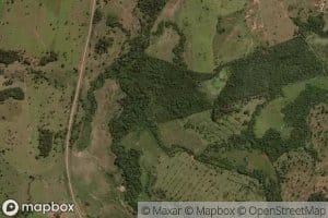 Corrego Capim de Raiz