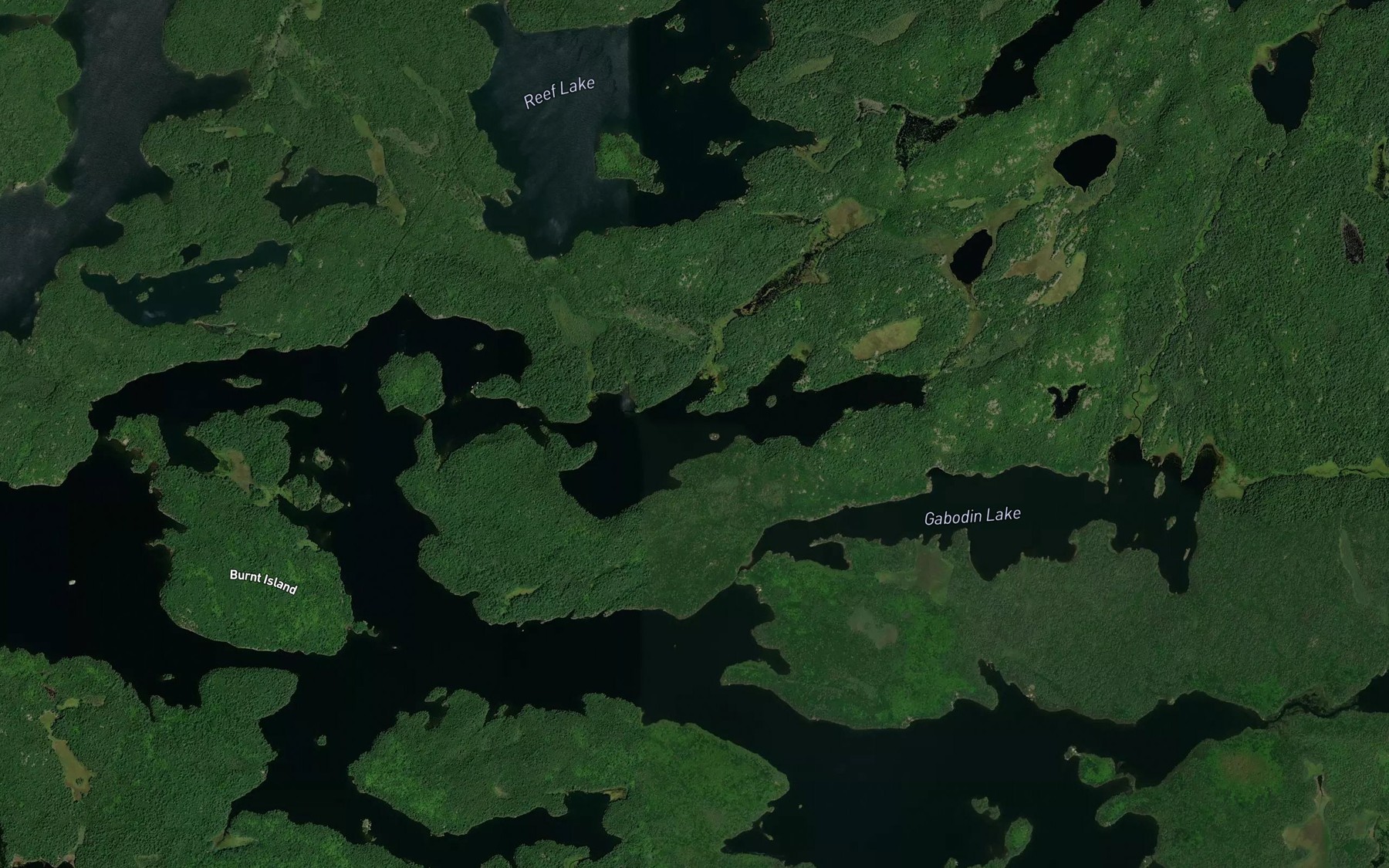 Satellite map of the Northeast Bay
