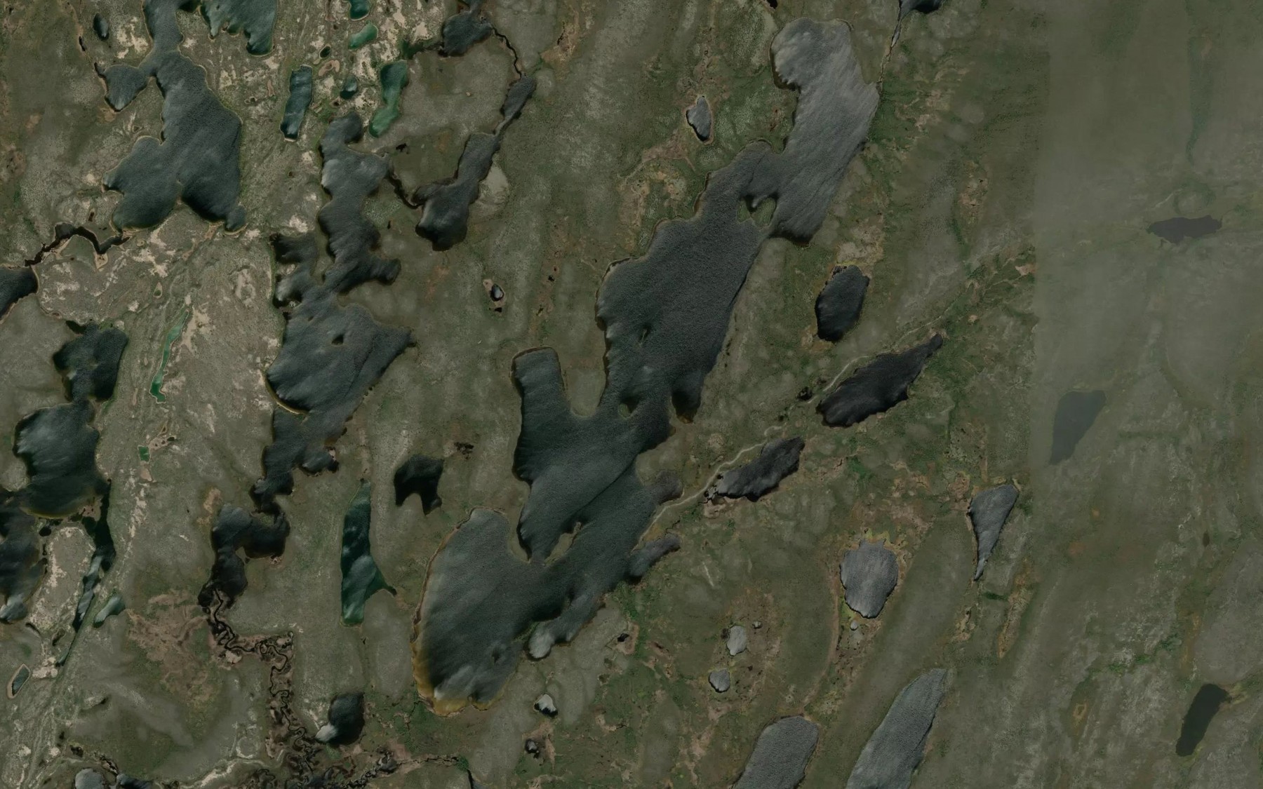 Satellite map of the Bowes Lake