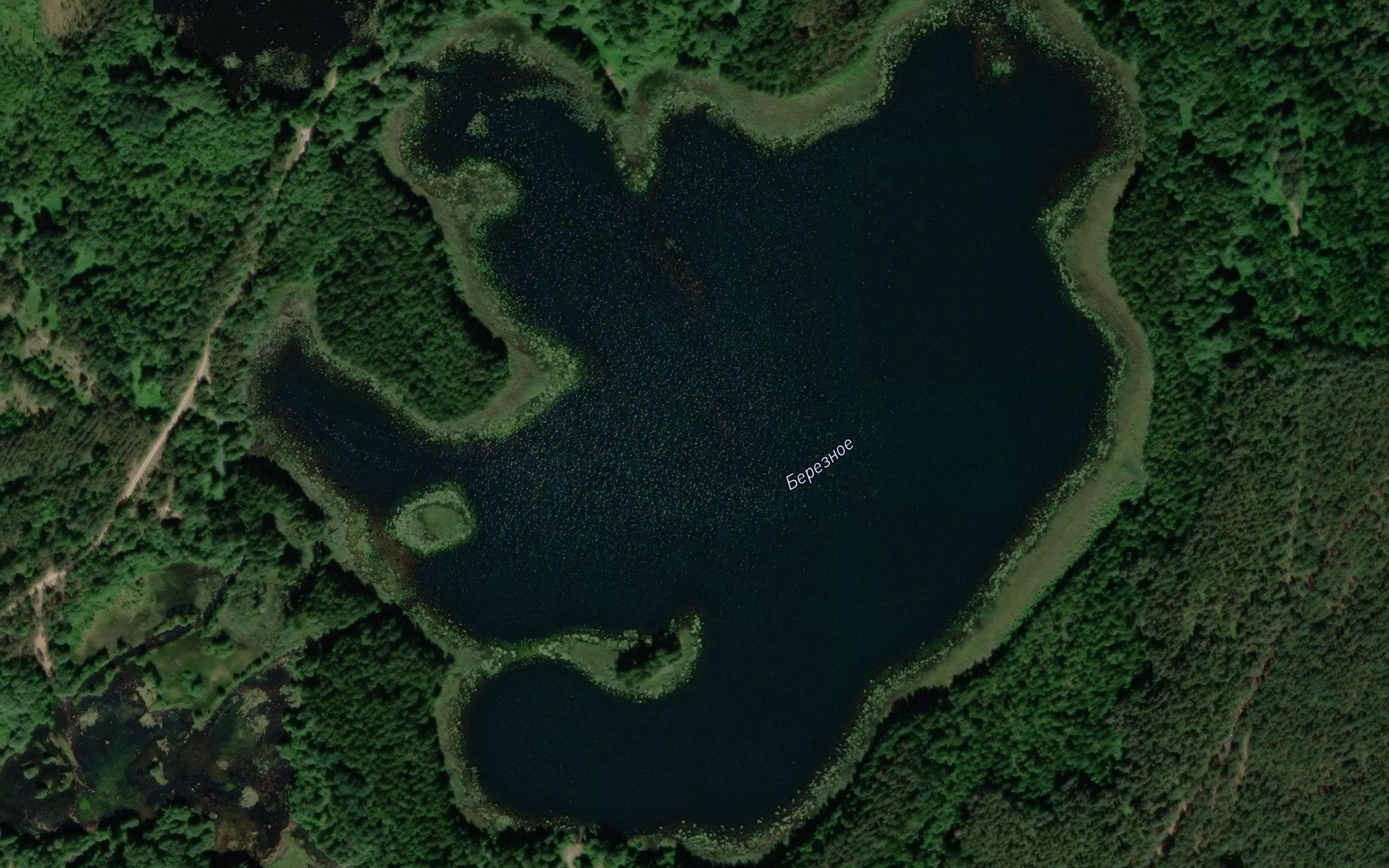 Ozero Bereznoye