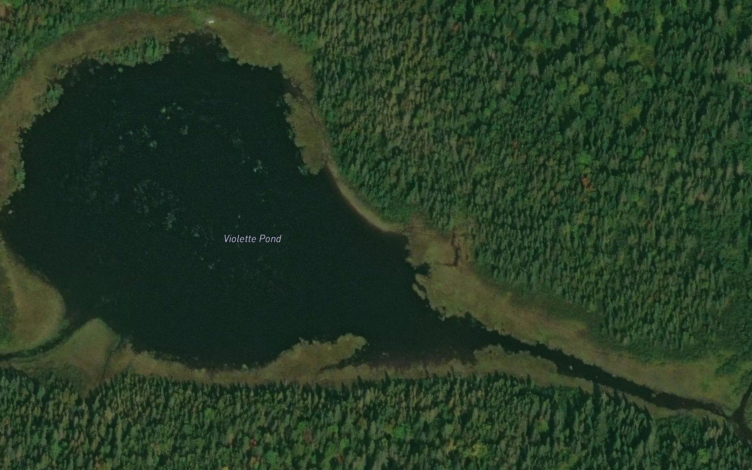 Violette Pond