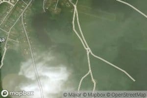 Tavolga