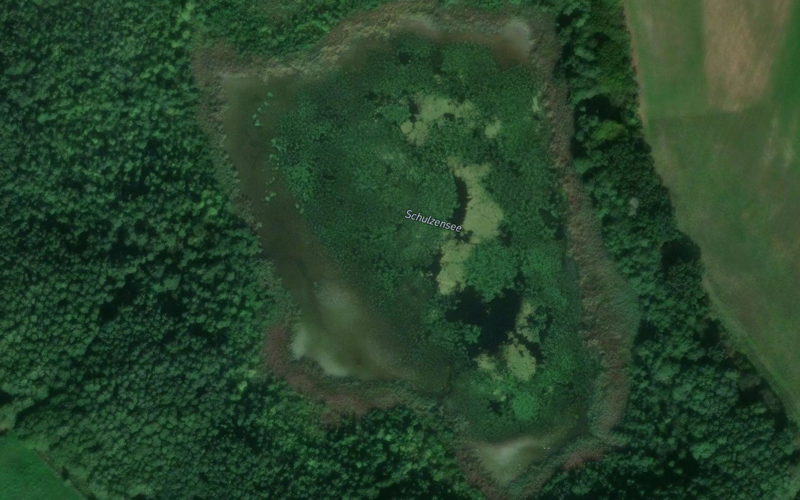 Schulzen-See