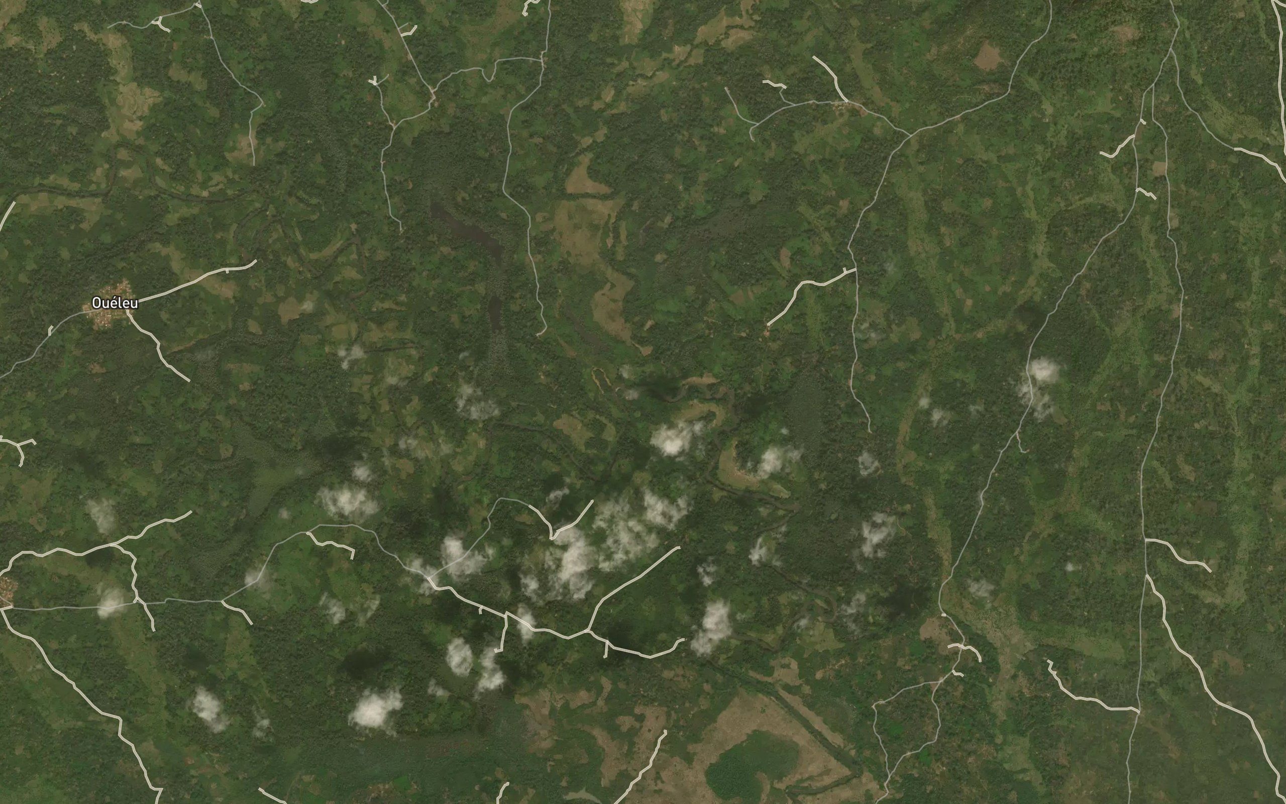 Ne