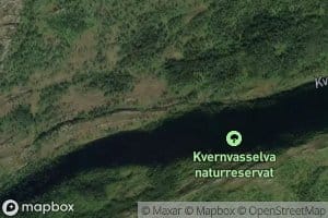 Kvernvasselva