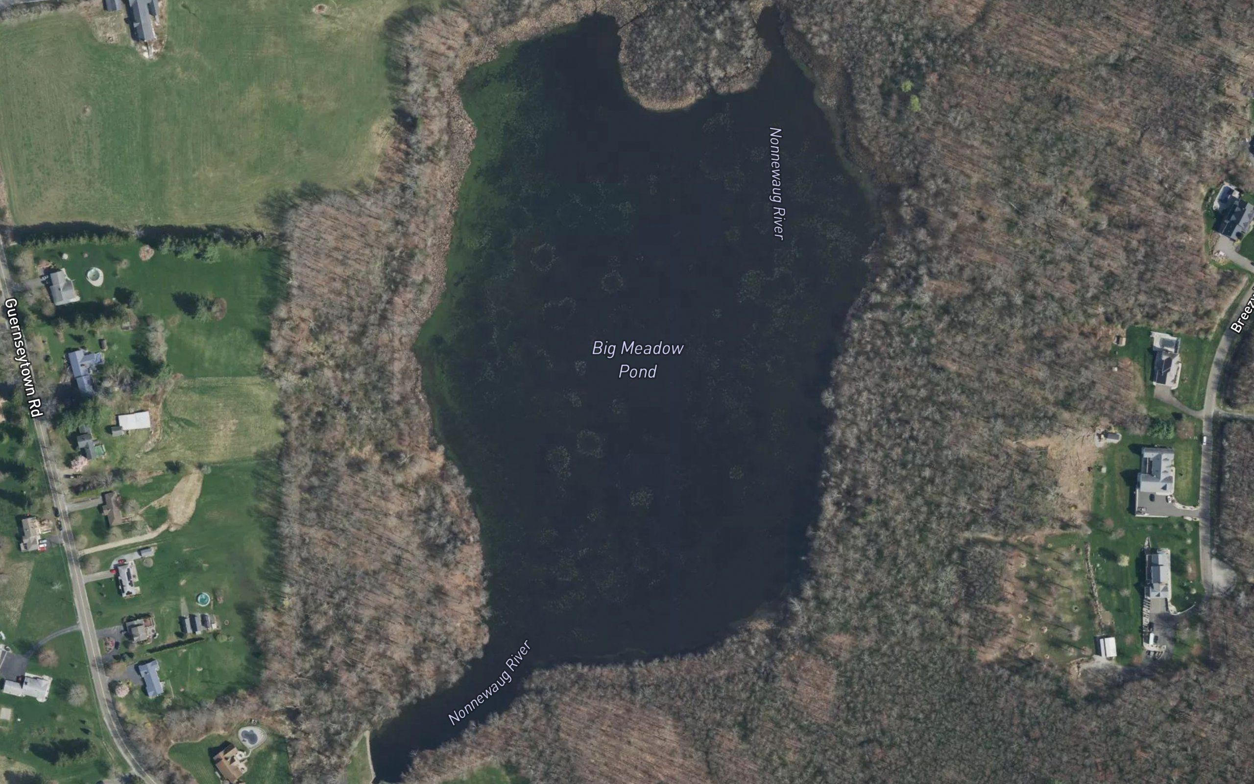 Big Meadow Pond