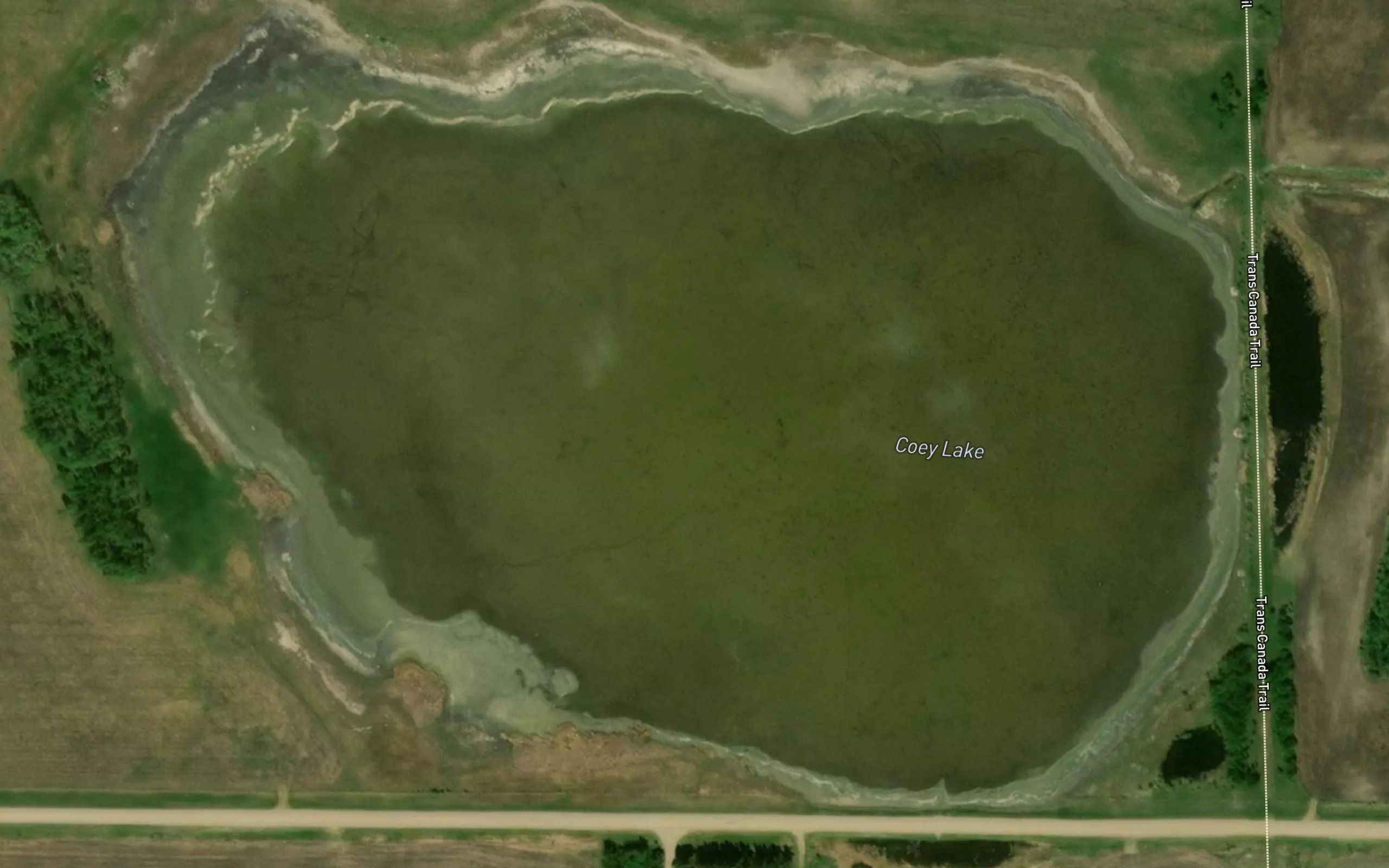 Coey Lake