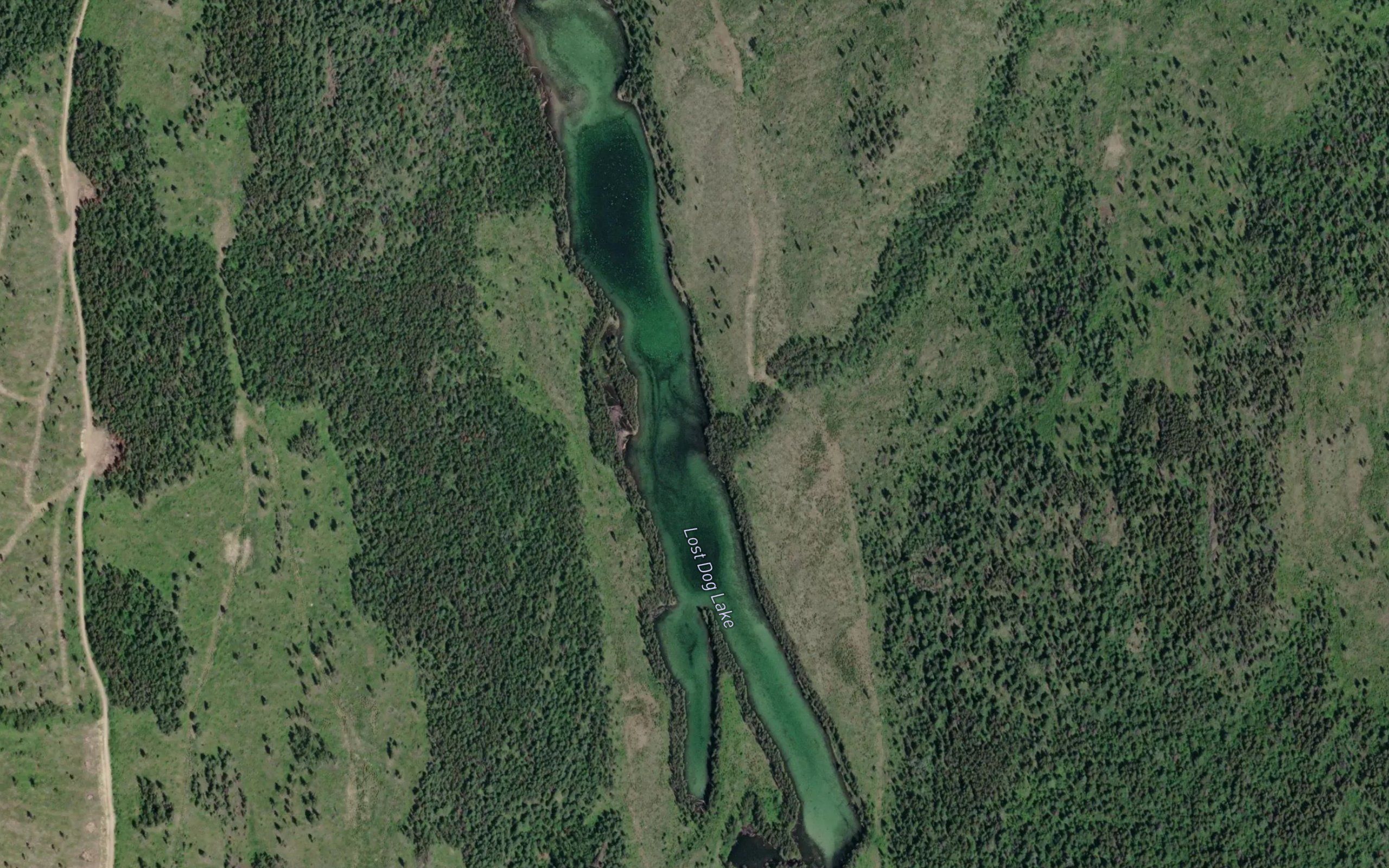 Lost Dog Lake
