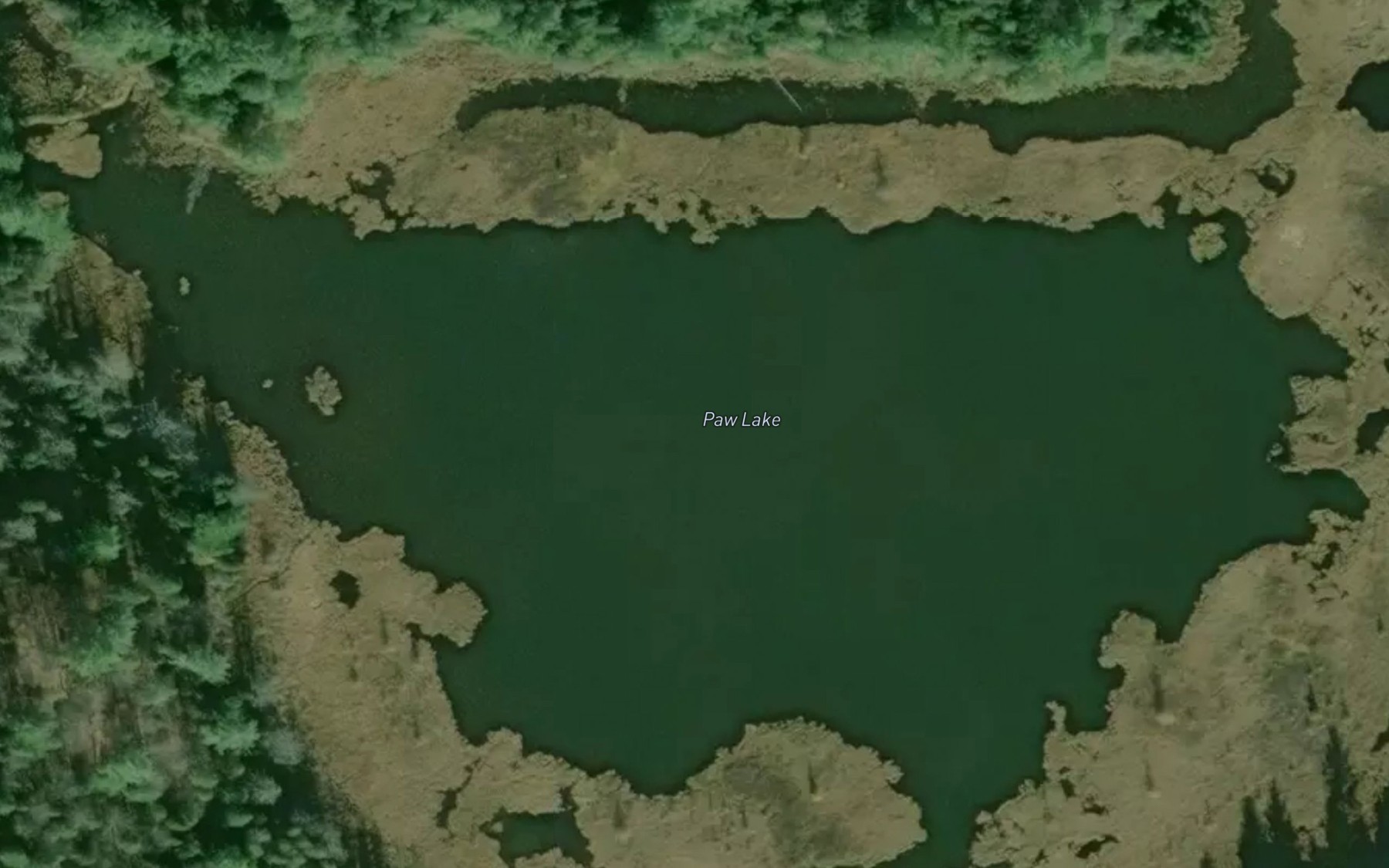 Satellite map of the Paw Lake