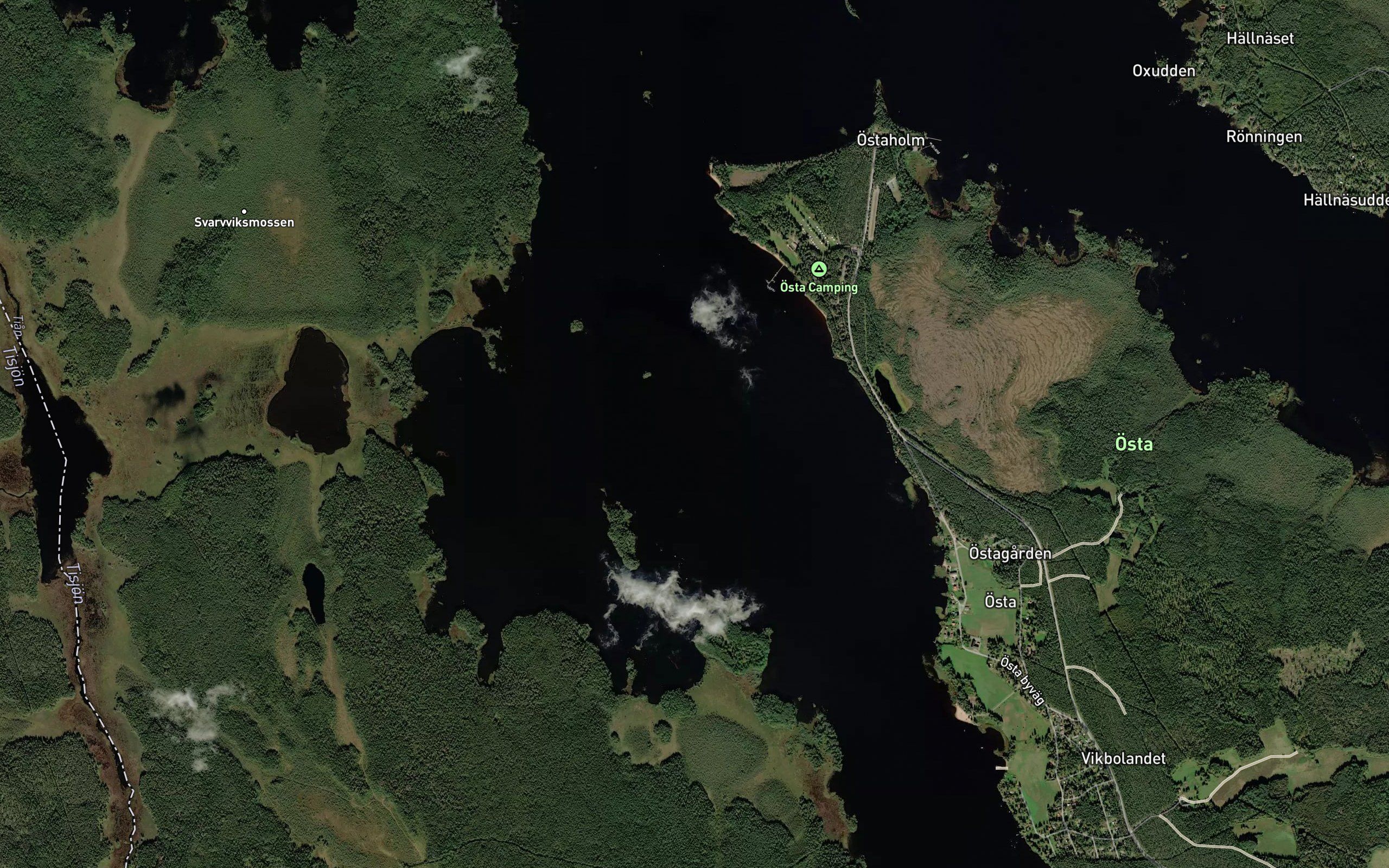 Ostaviken