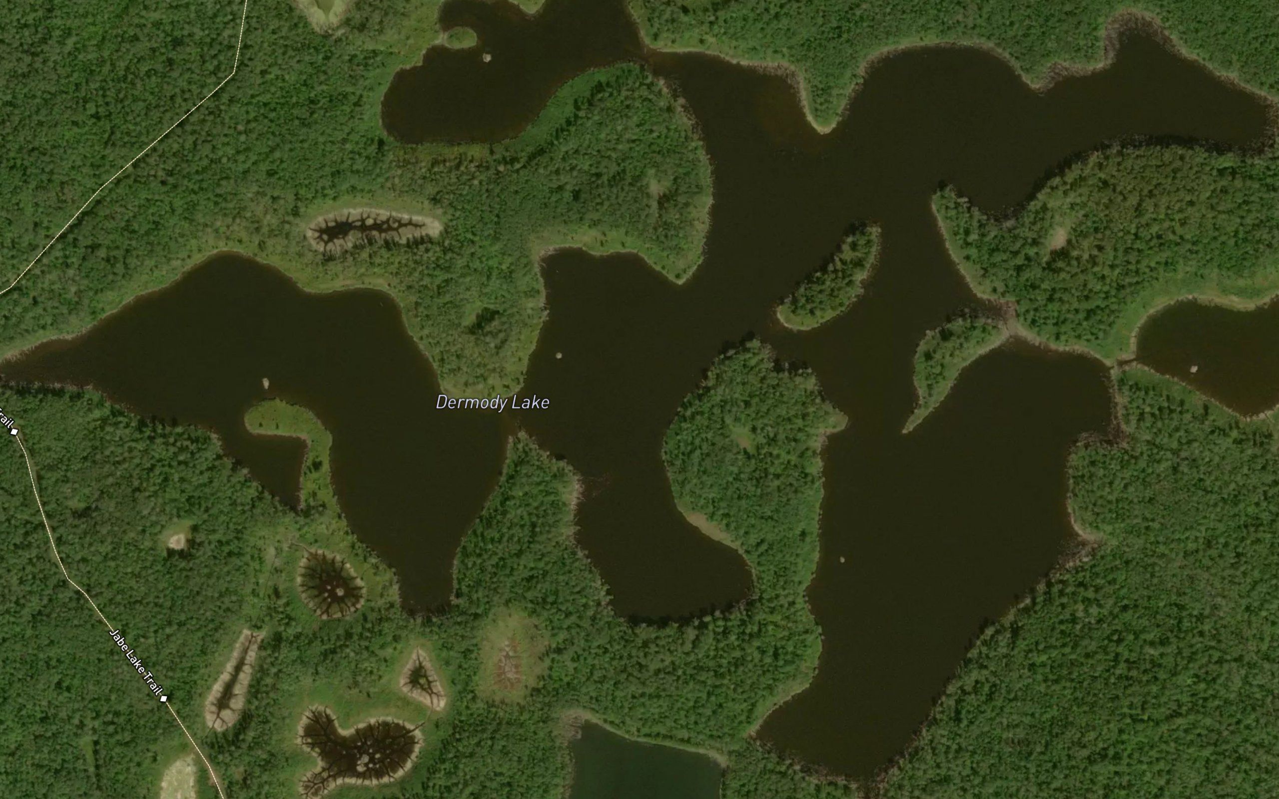 Dermody Lake