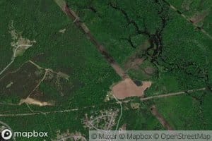 Boar Swamp