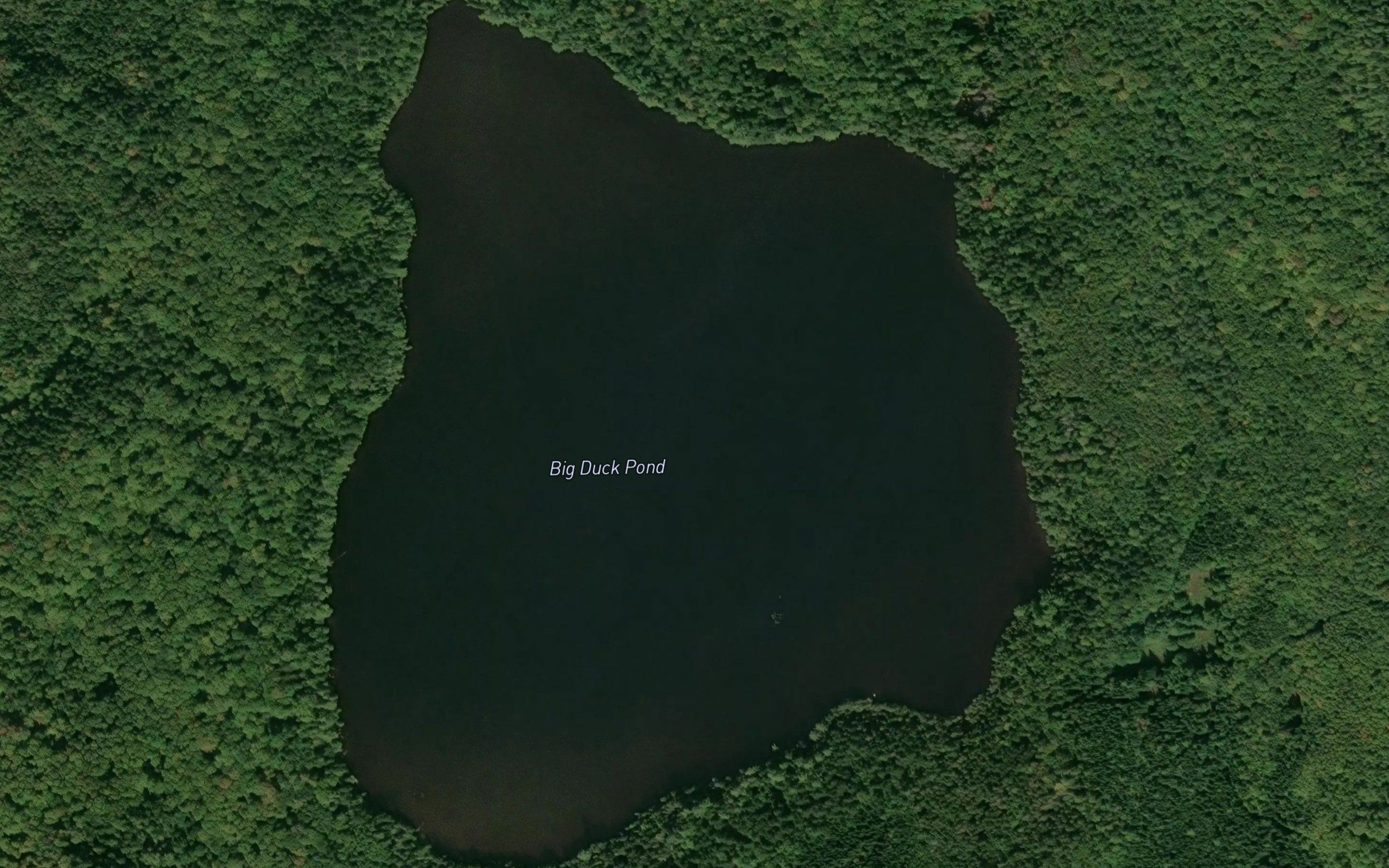 Big Duck Pond