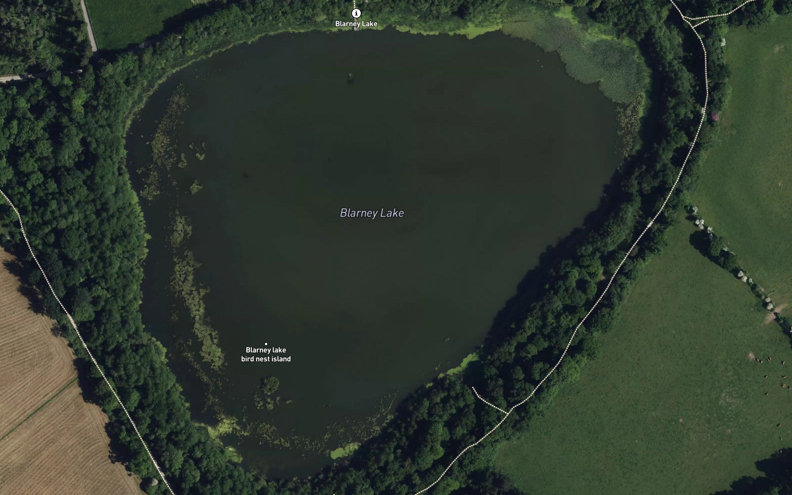 Blarney Lake