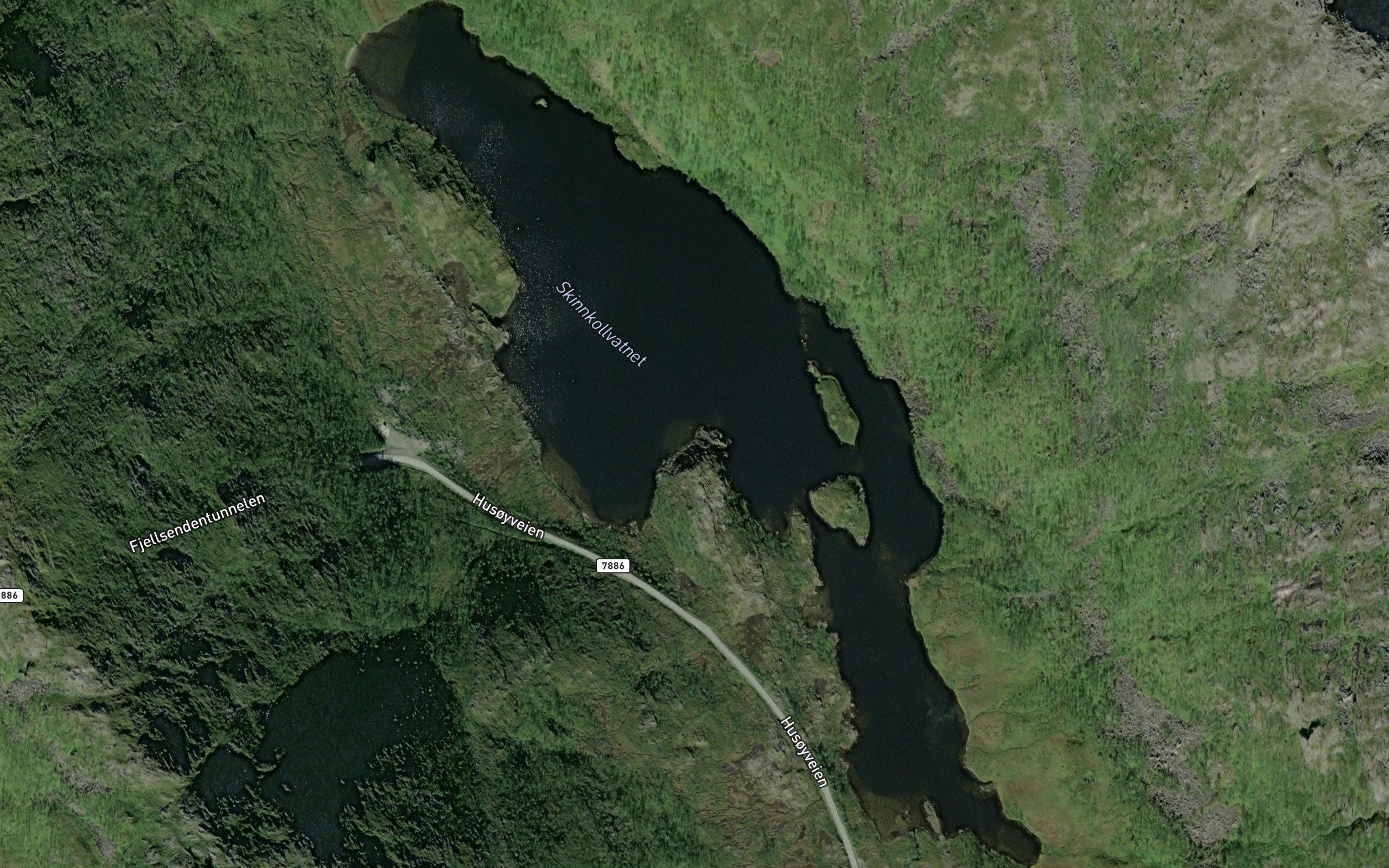 Skinnkollvatnet