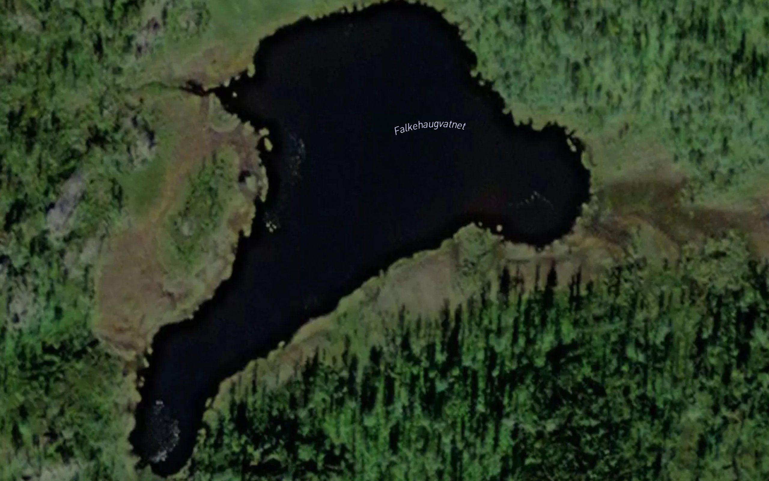 Falkehaugvatnet