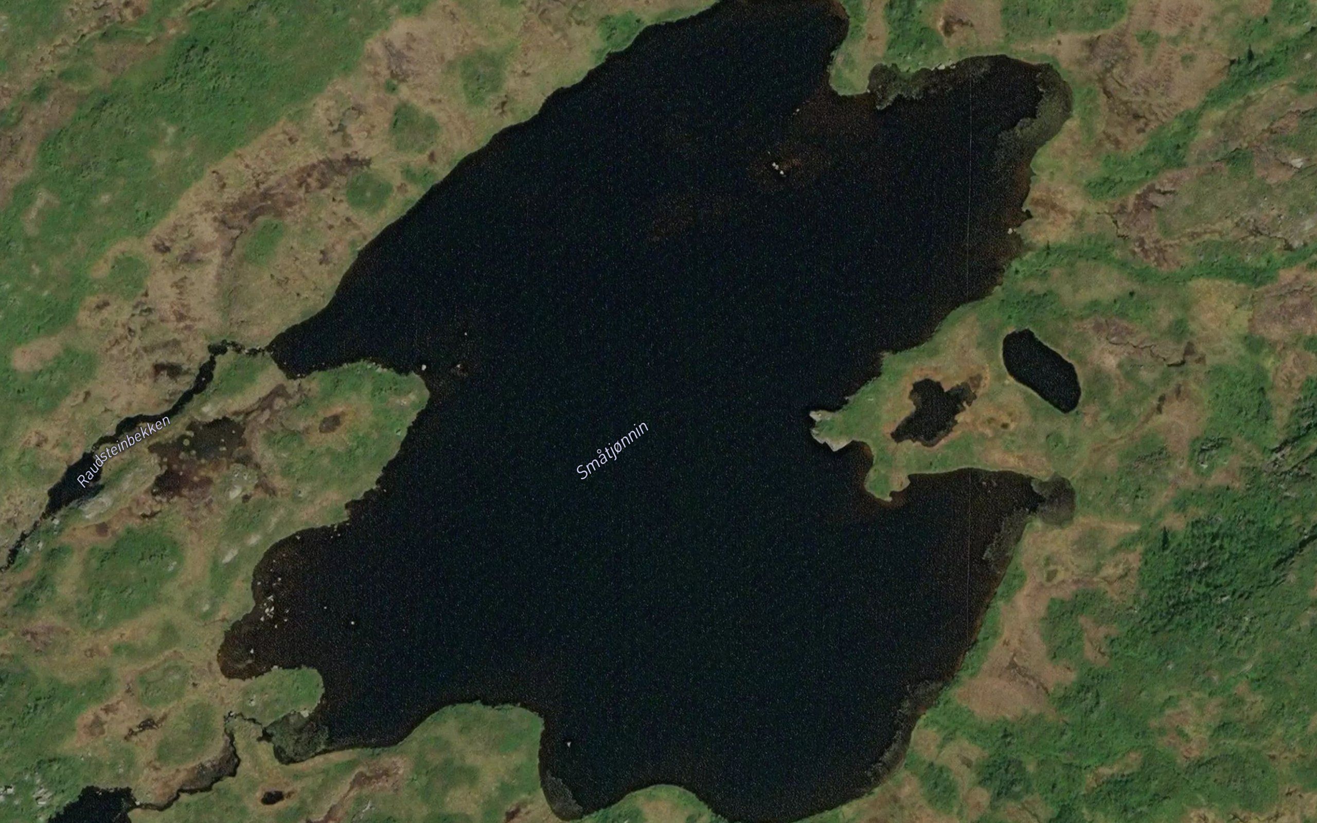 Smatjonnin