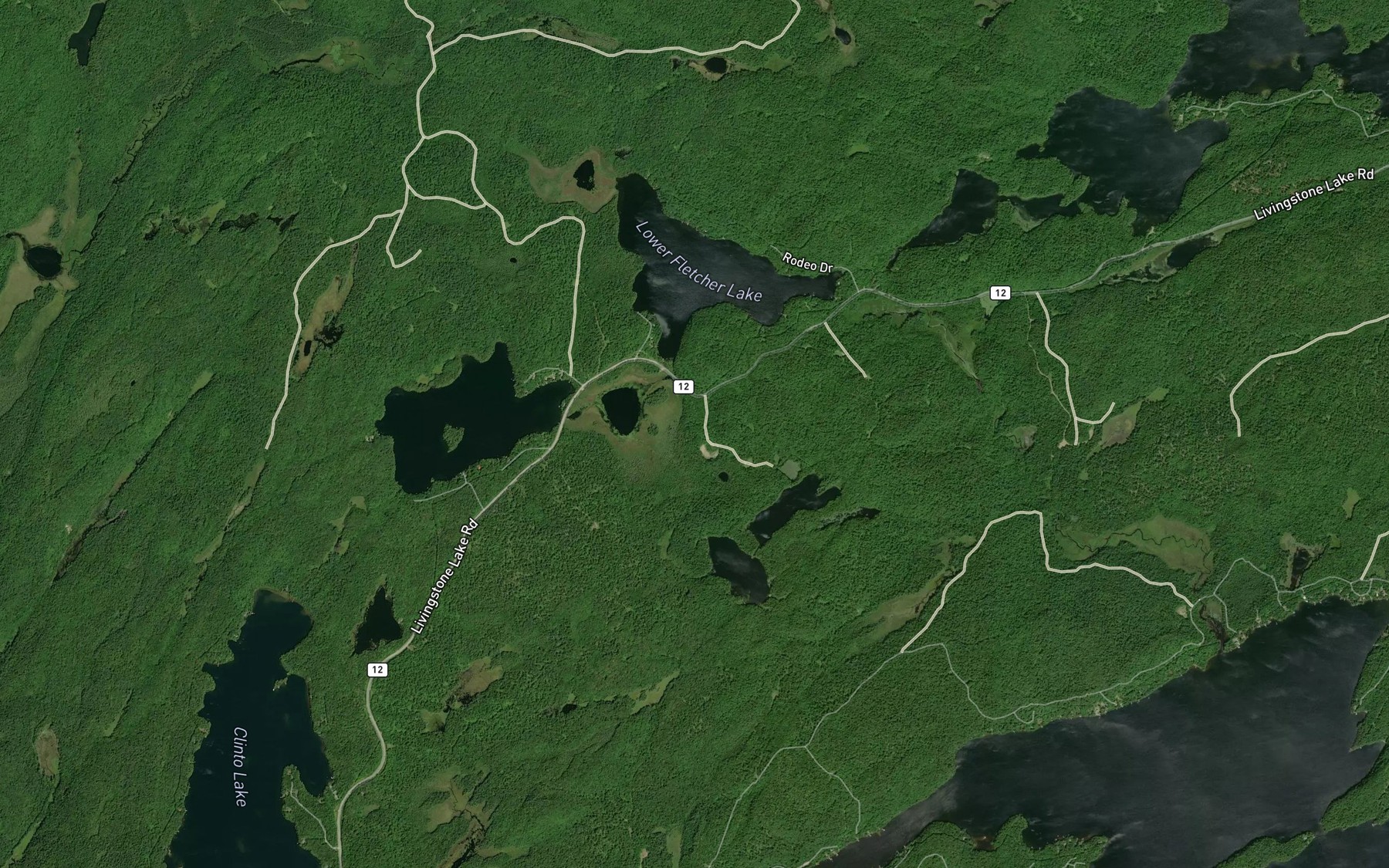 Satellite map of the Buchanan Creek