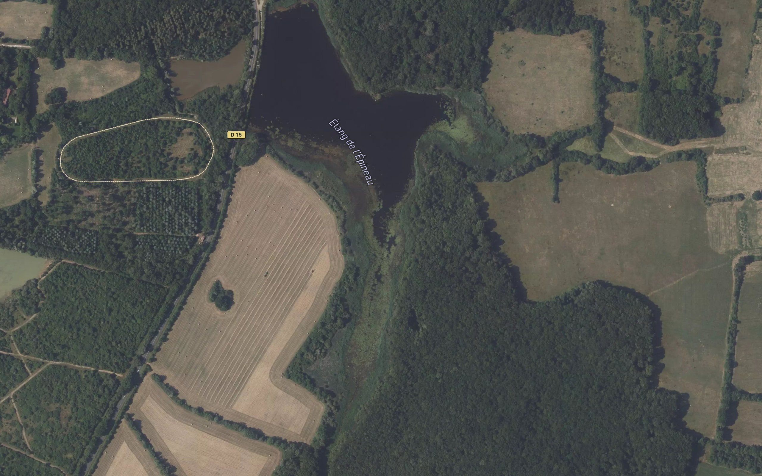 Etang de l'Epineau