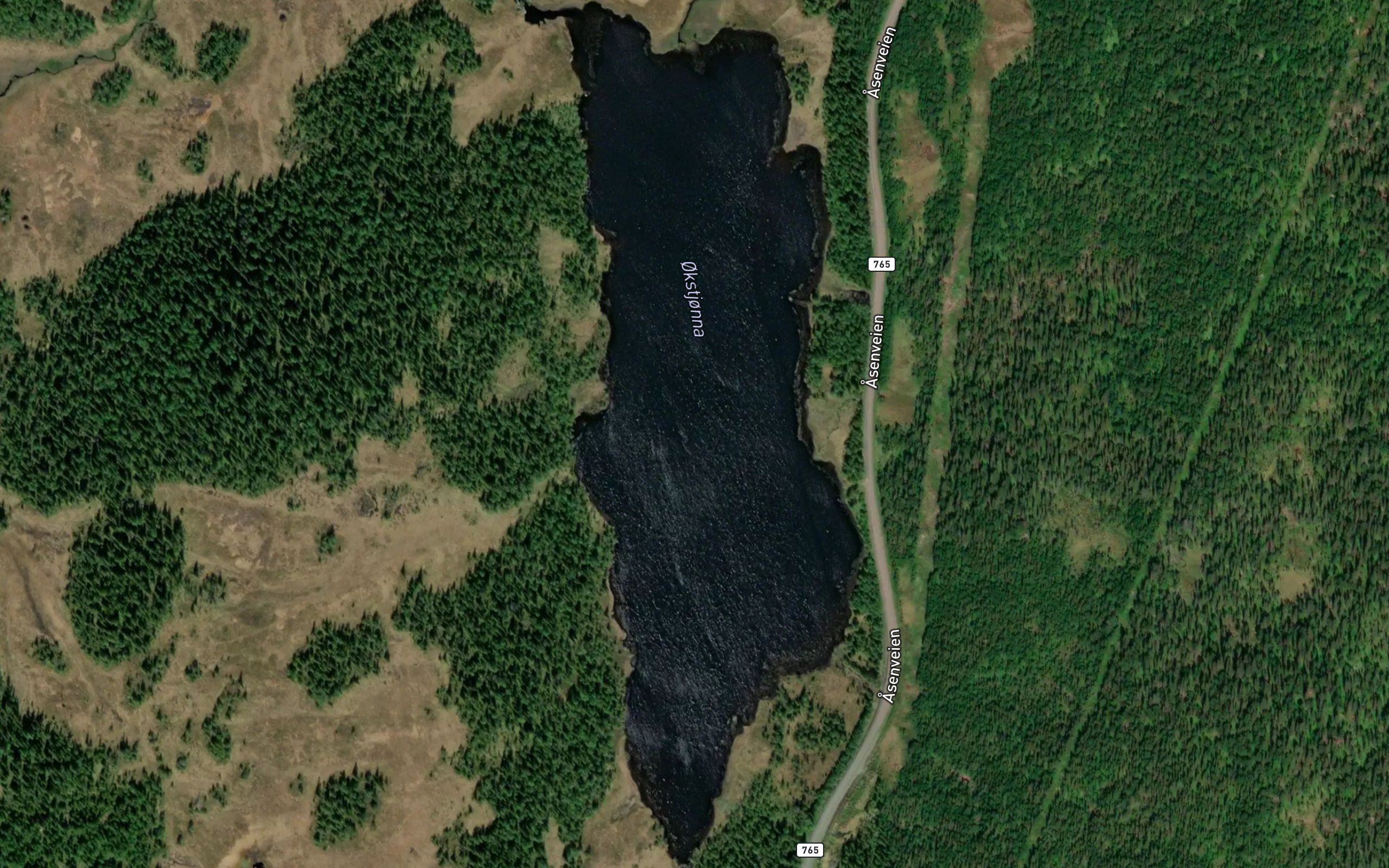 Okstjorna