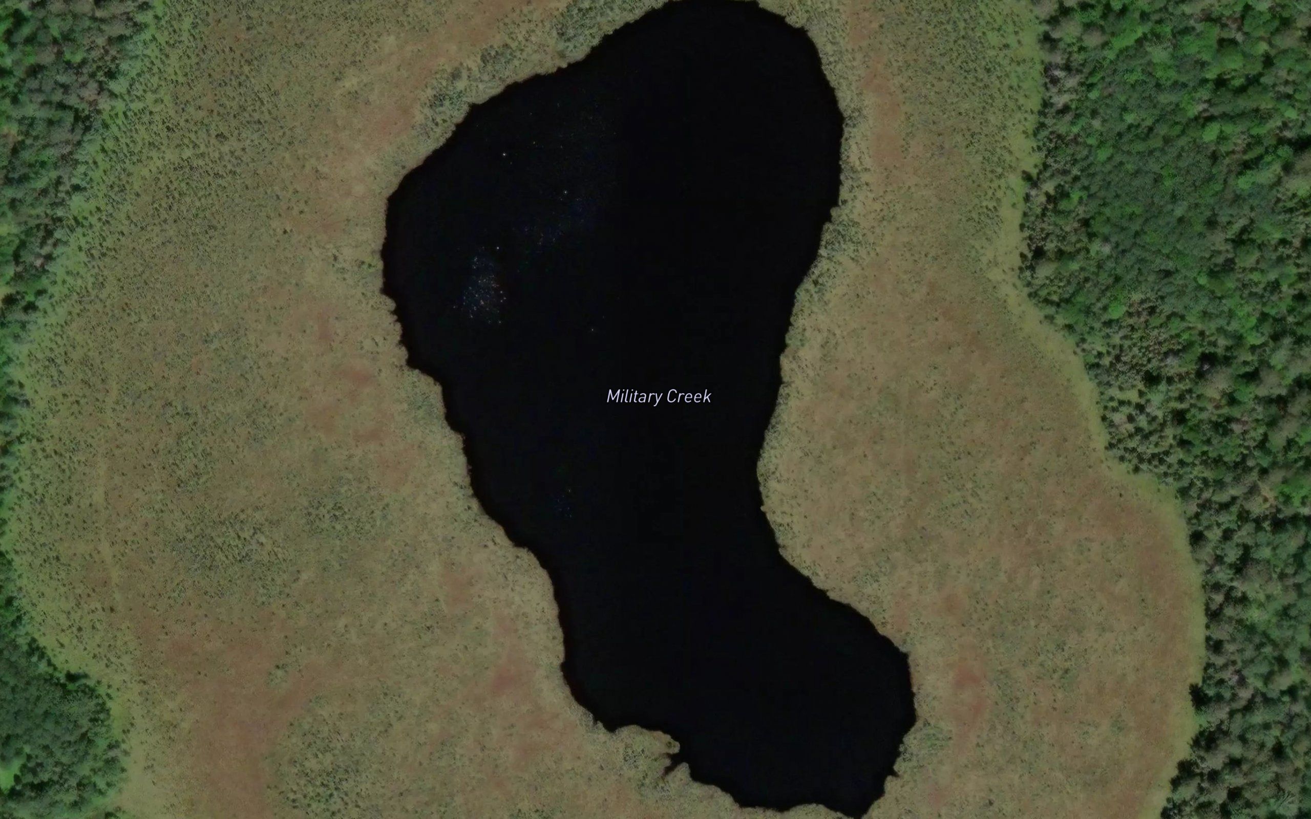 Grass Lake